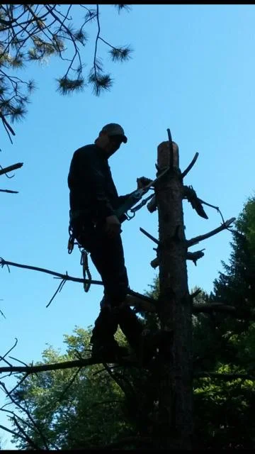 national tree service gallery image-1.JPG