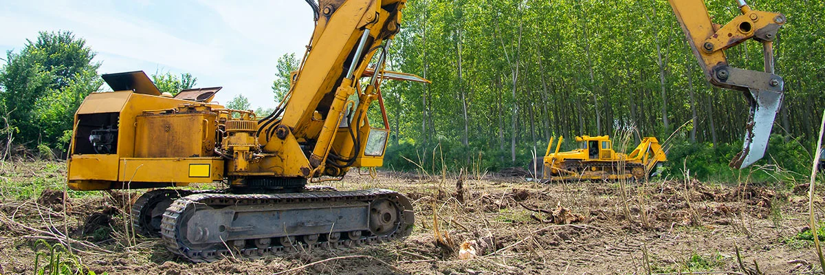 Land-Clearing-Services-from-National-Tree-Service.jpg