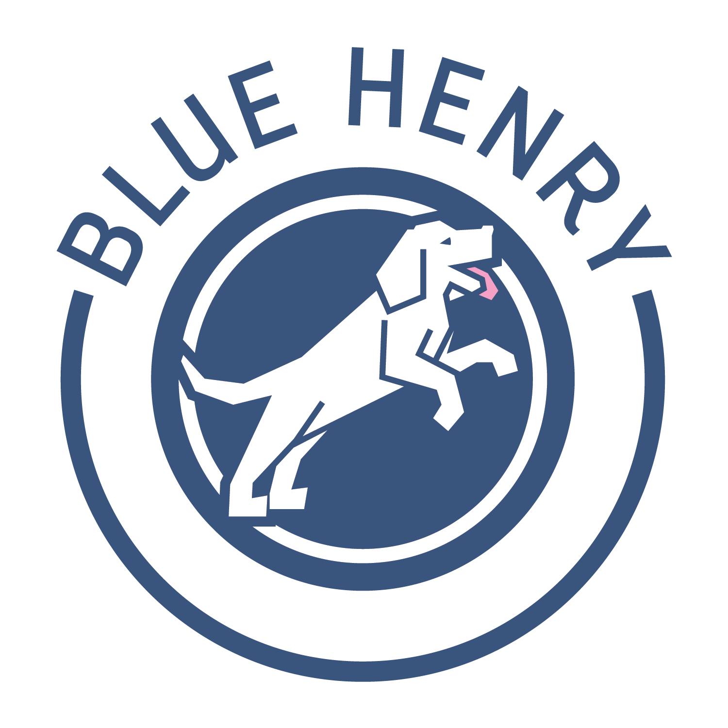 BlueHenrySpirits.png