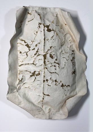 alison-knowles-turtle copy.jpg
