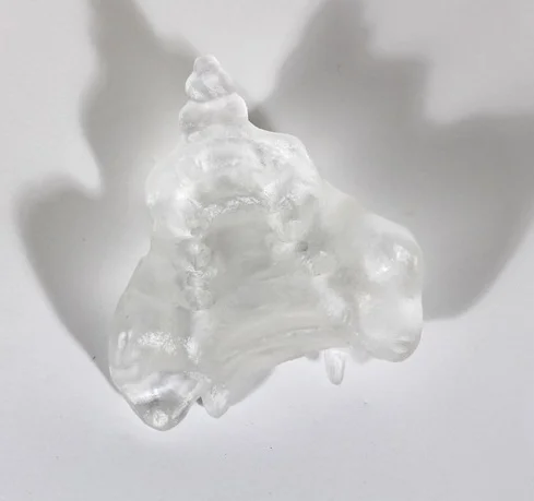 kiki-smith-tail copy.jpg