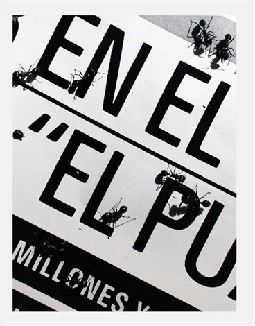 david-wojnarowicz-untitled-(language)-front-ant-series.jpg