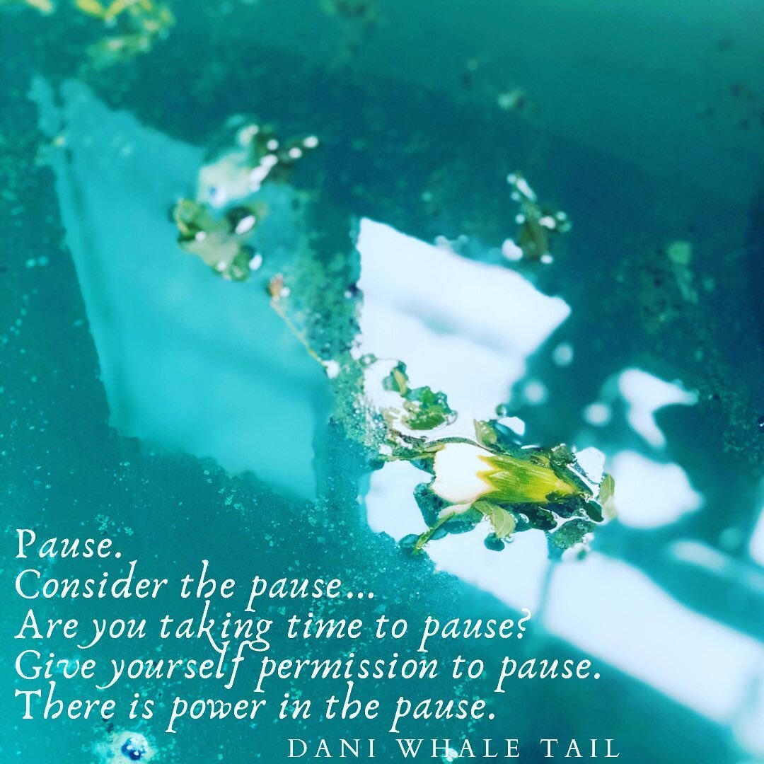 Pause ✨ 

💫 Are you taking the time to pause?

#takeabreath #stillness #pause #permissontopause #meditation #reflection #process #intergration #selfcare #getquiet #nodestractions #deepdesire #powerful #powerfulpause