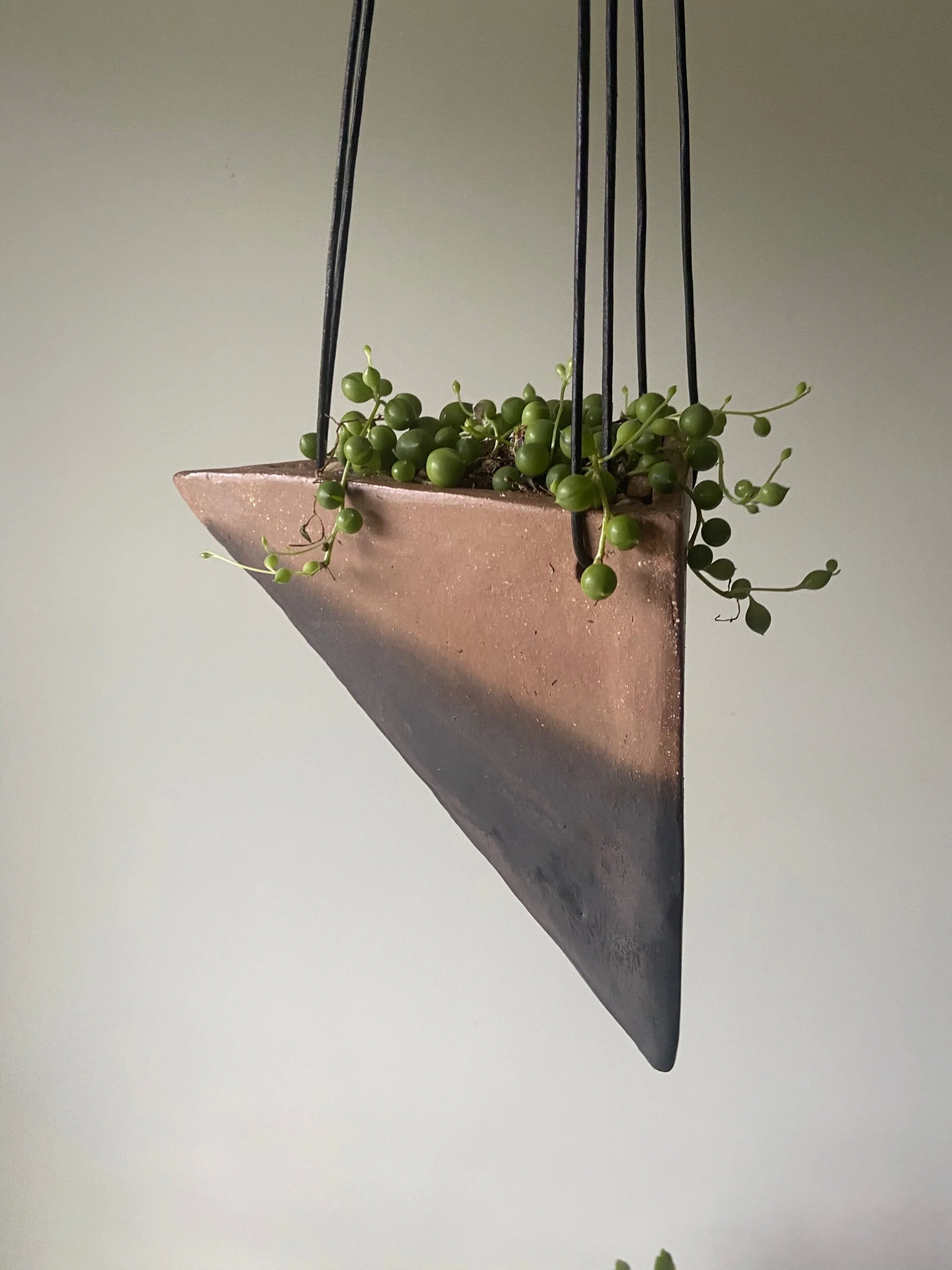 8EEC75CF-3E6A-44BE-990E-AC6111E01D37