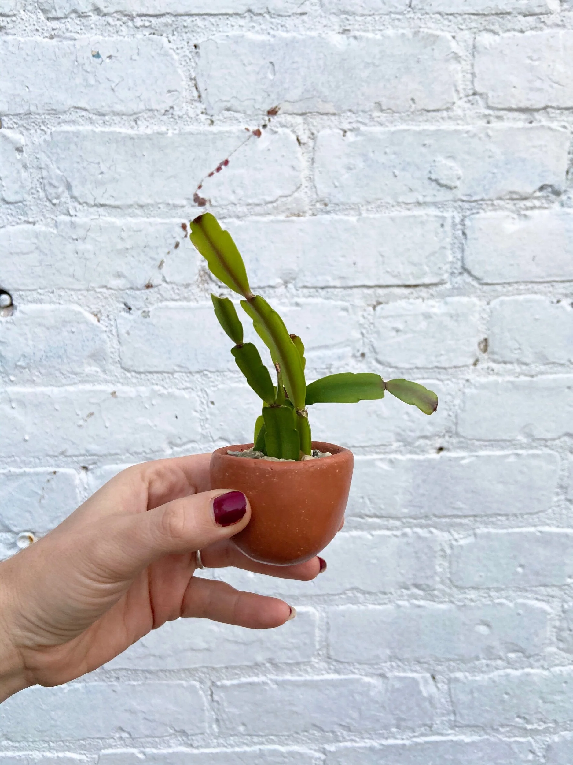 EAE762FE-7A70-41B5-98D8-D5032A93BA4A