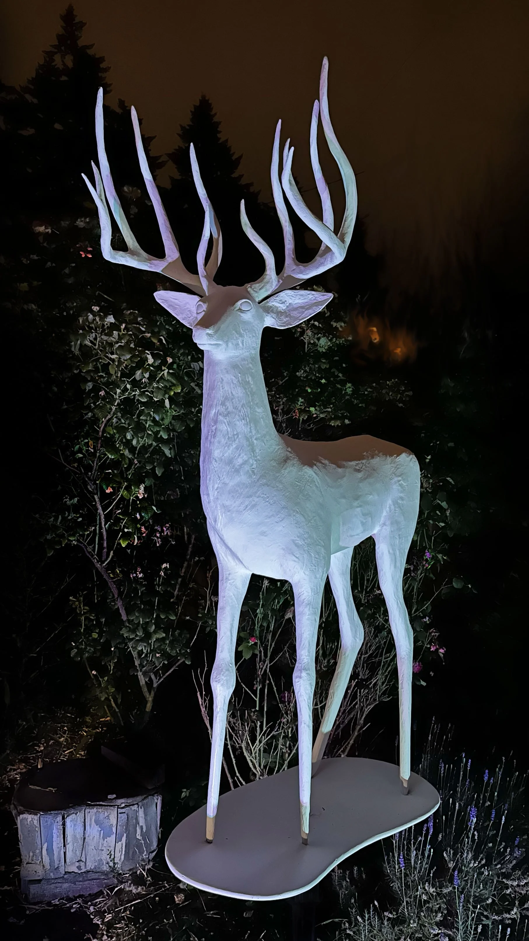 The Stag-Habitat.jpg
