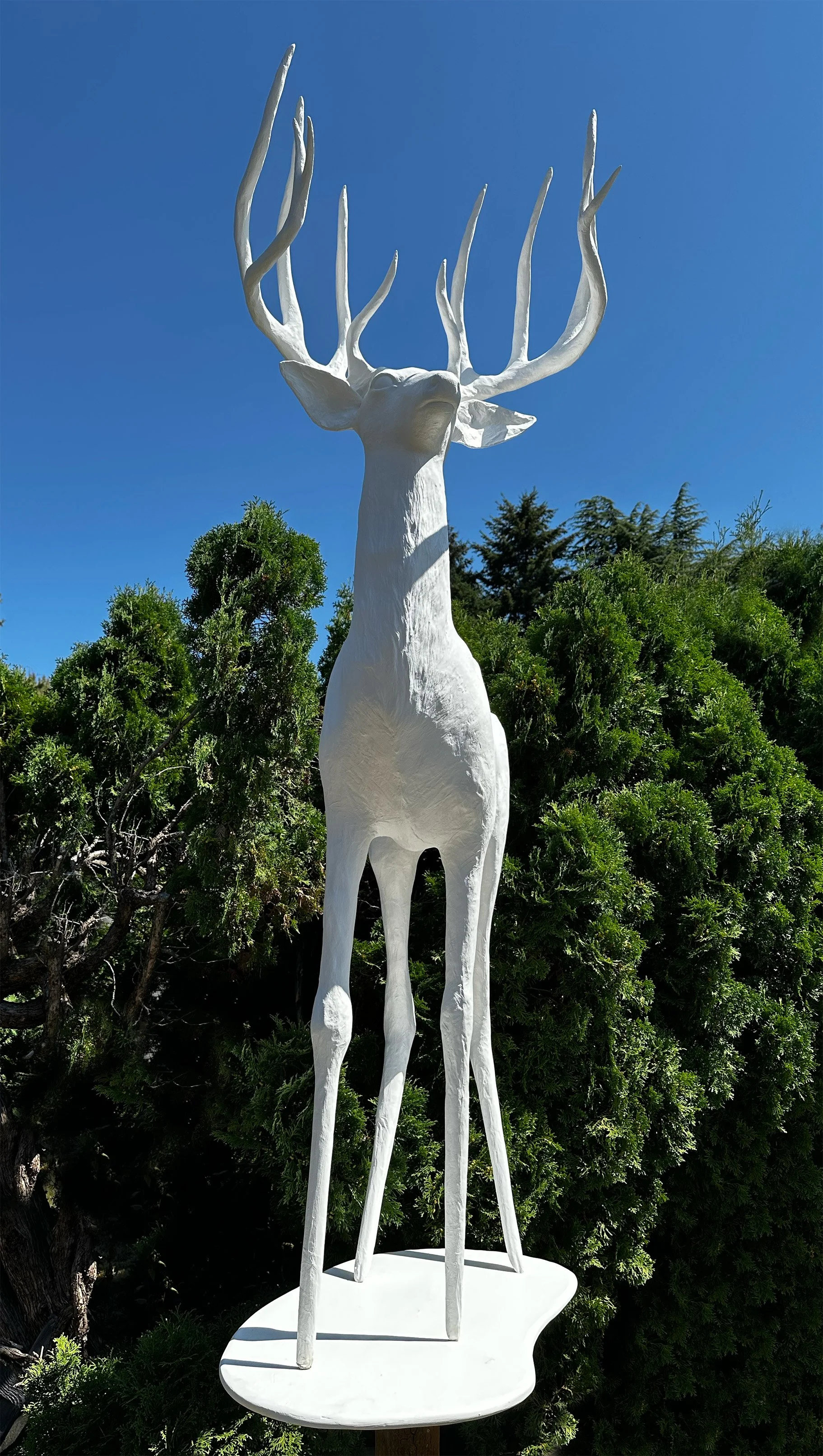 The Stag Daylight Habitat II.jpg
