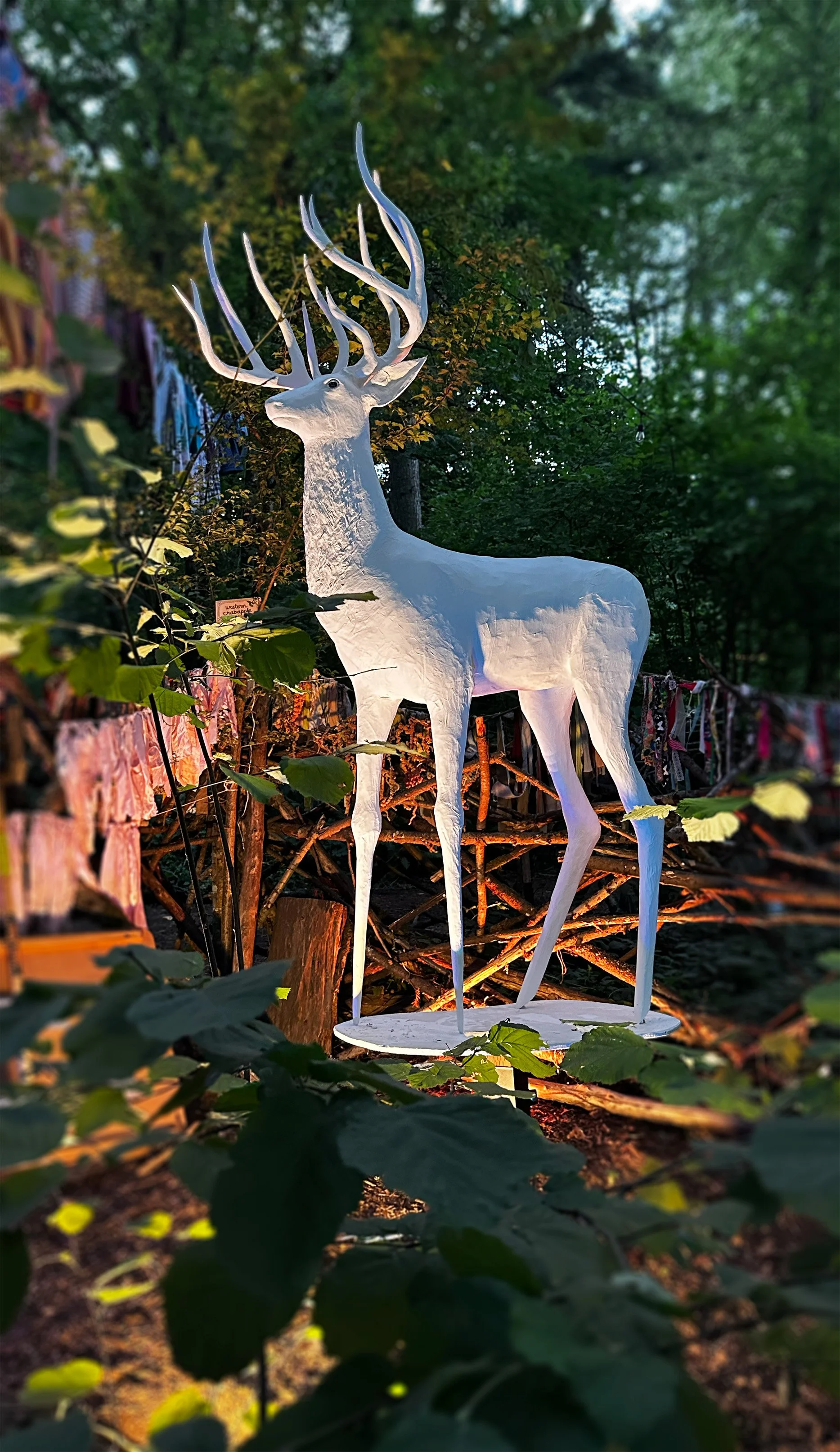 The Stag-Pendarvis III.jpg