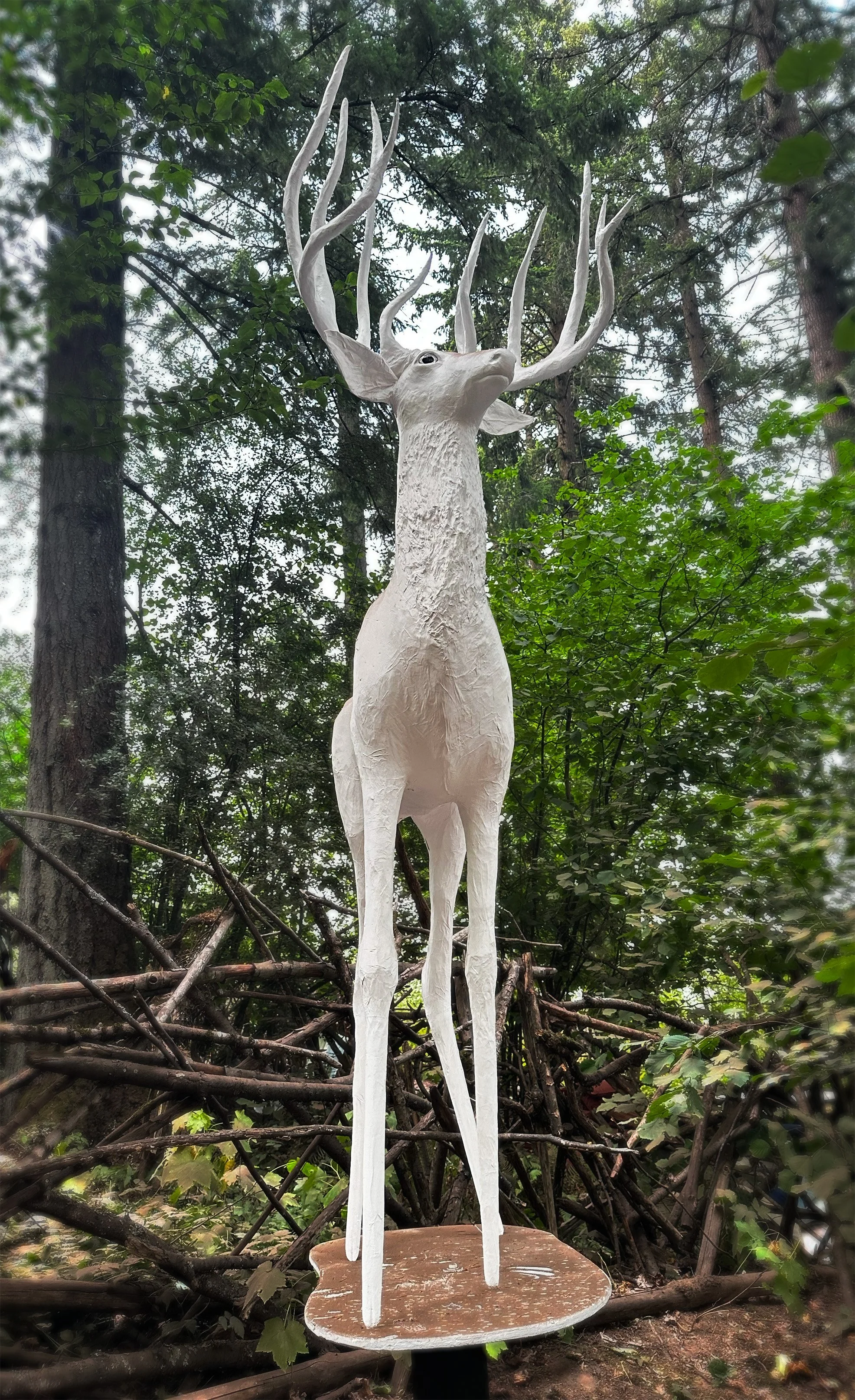 The Stag-Pendarvis II.jpg