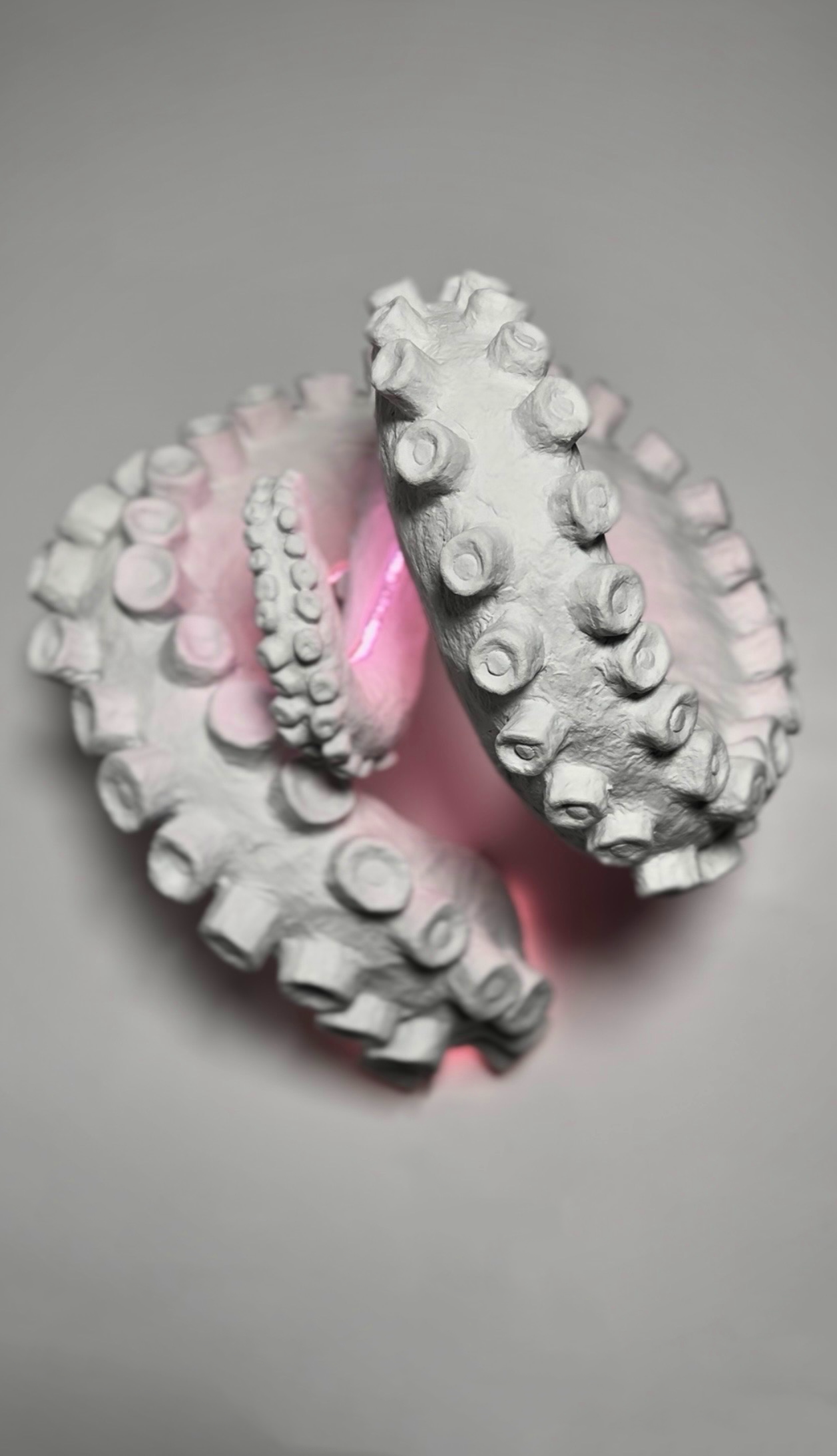 HL-illuminated-tentacle-pink.png