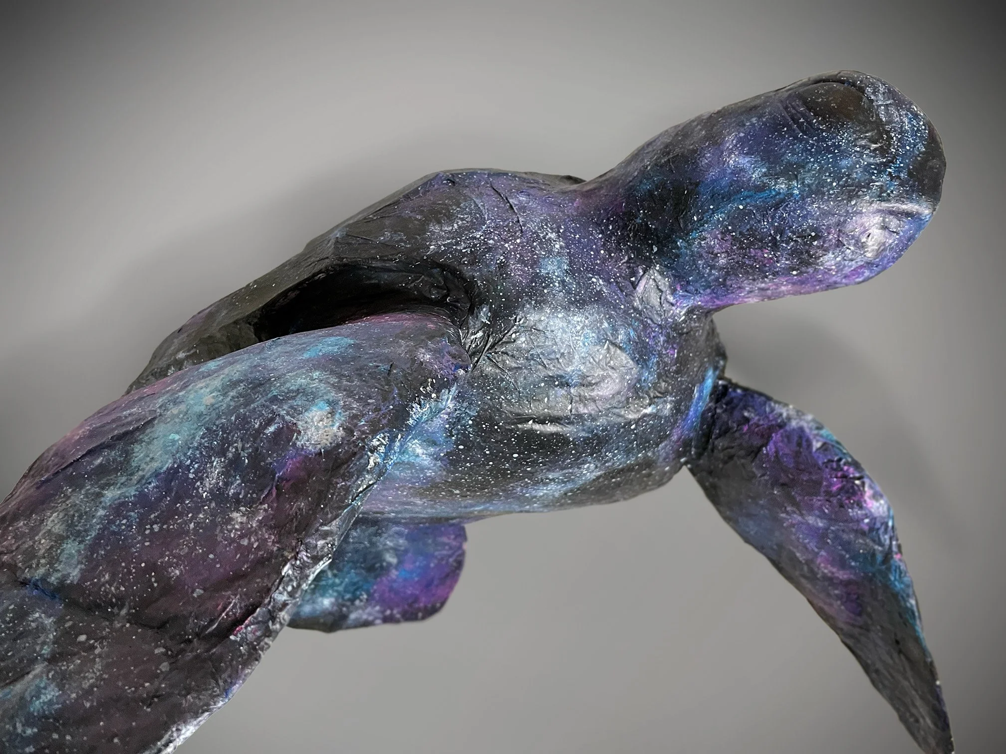 galaxy-turtle-3qt.jpg