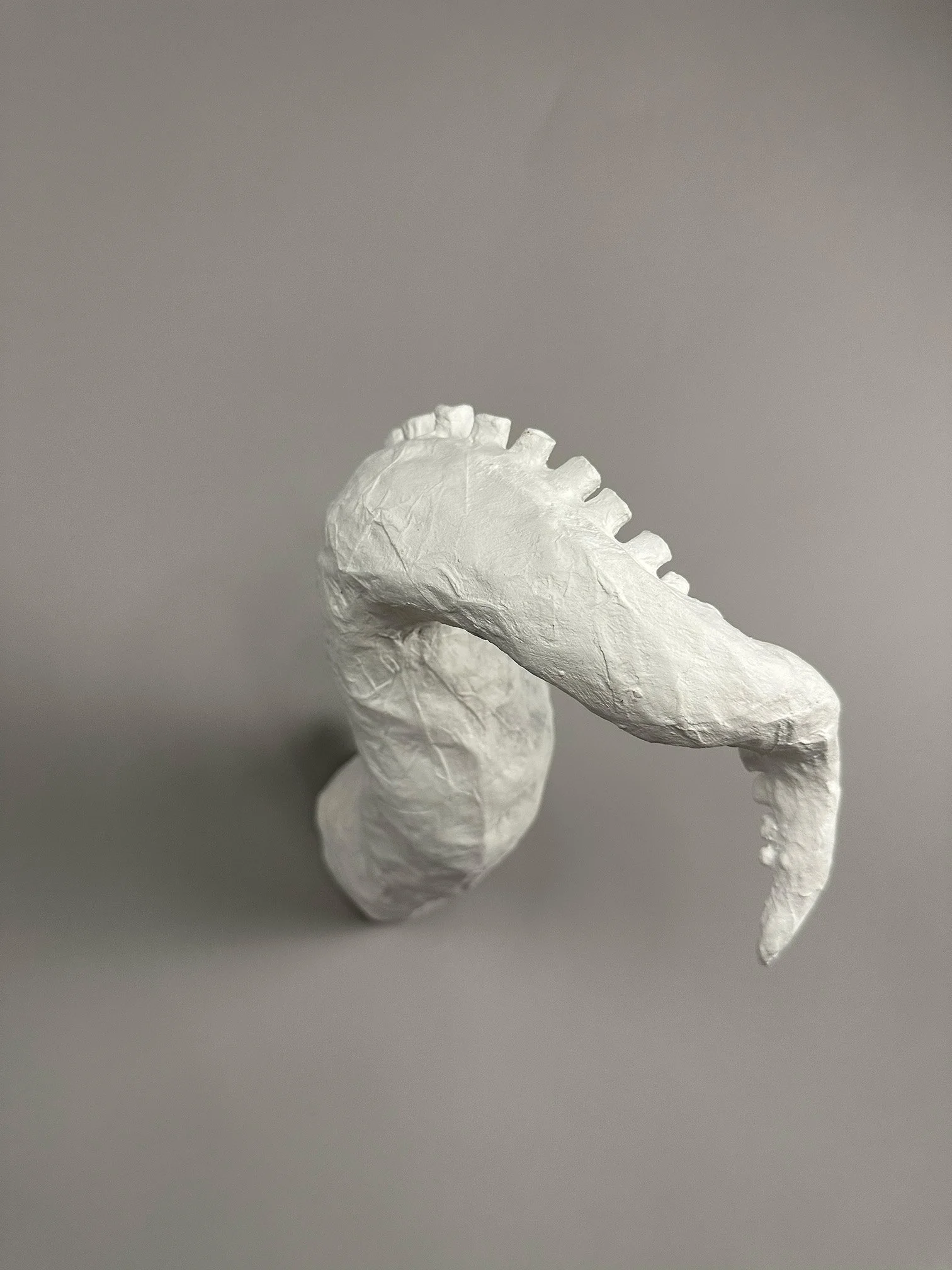 tentacle VII full wm.jpg