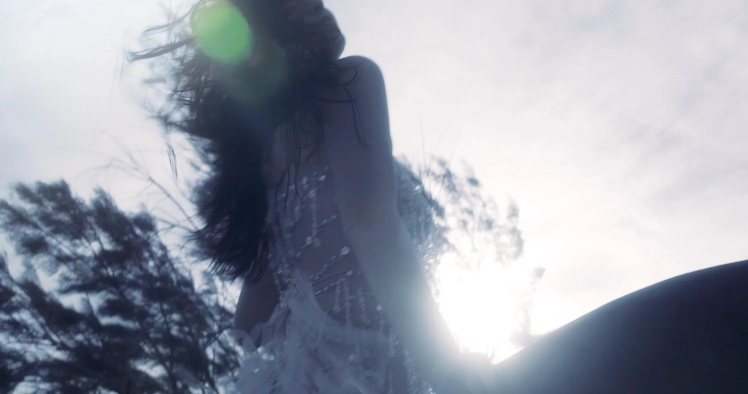 Sequence 01.00_00_16_19.Still026.JPG