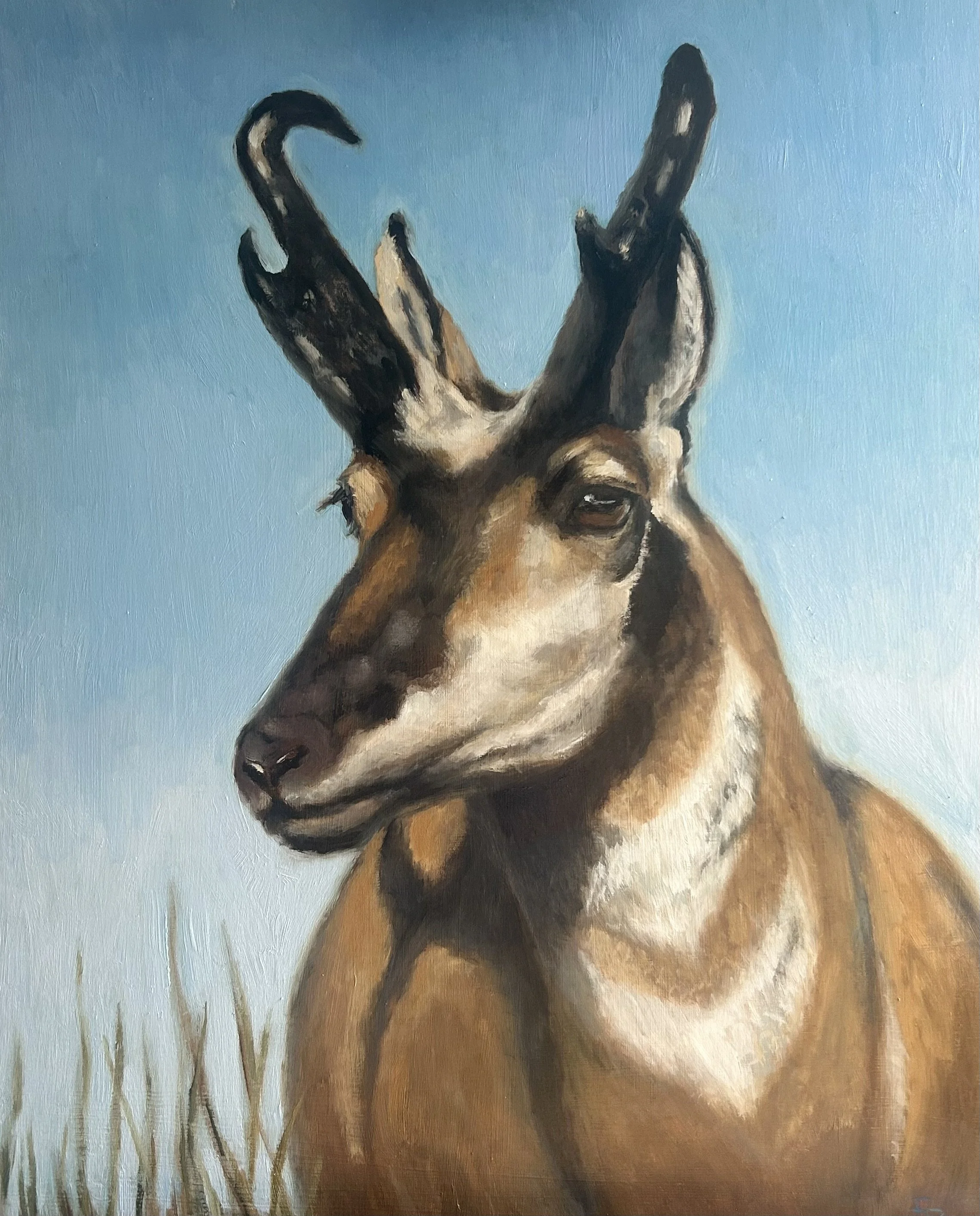 "Guardian of the Horizon:
16x20 Oil on Panel
SOLD