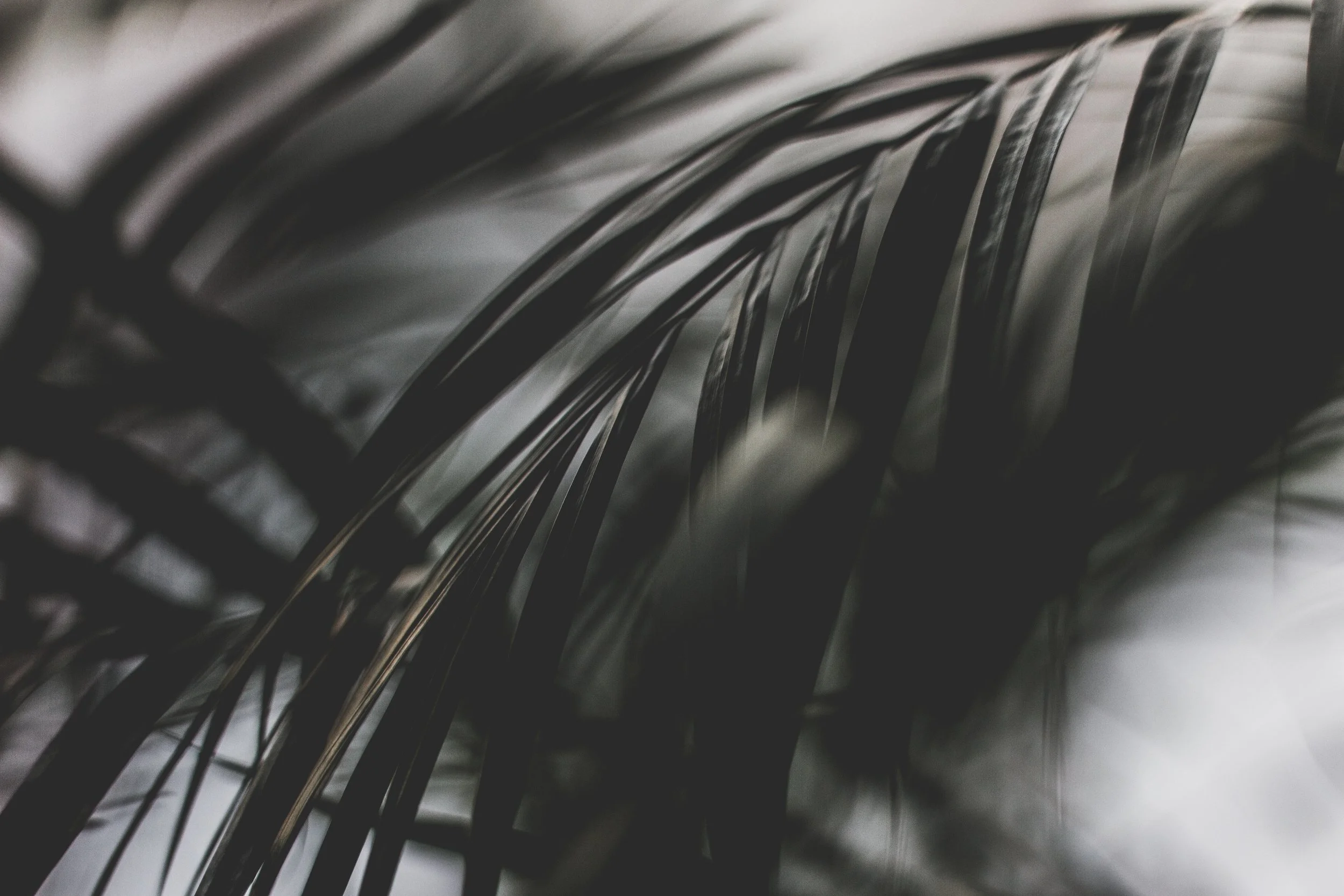 UPPER or lowercase header