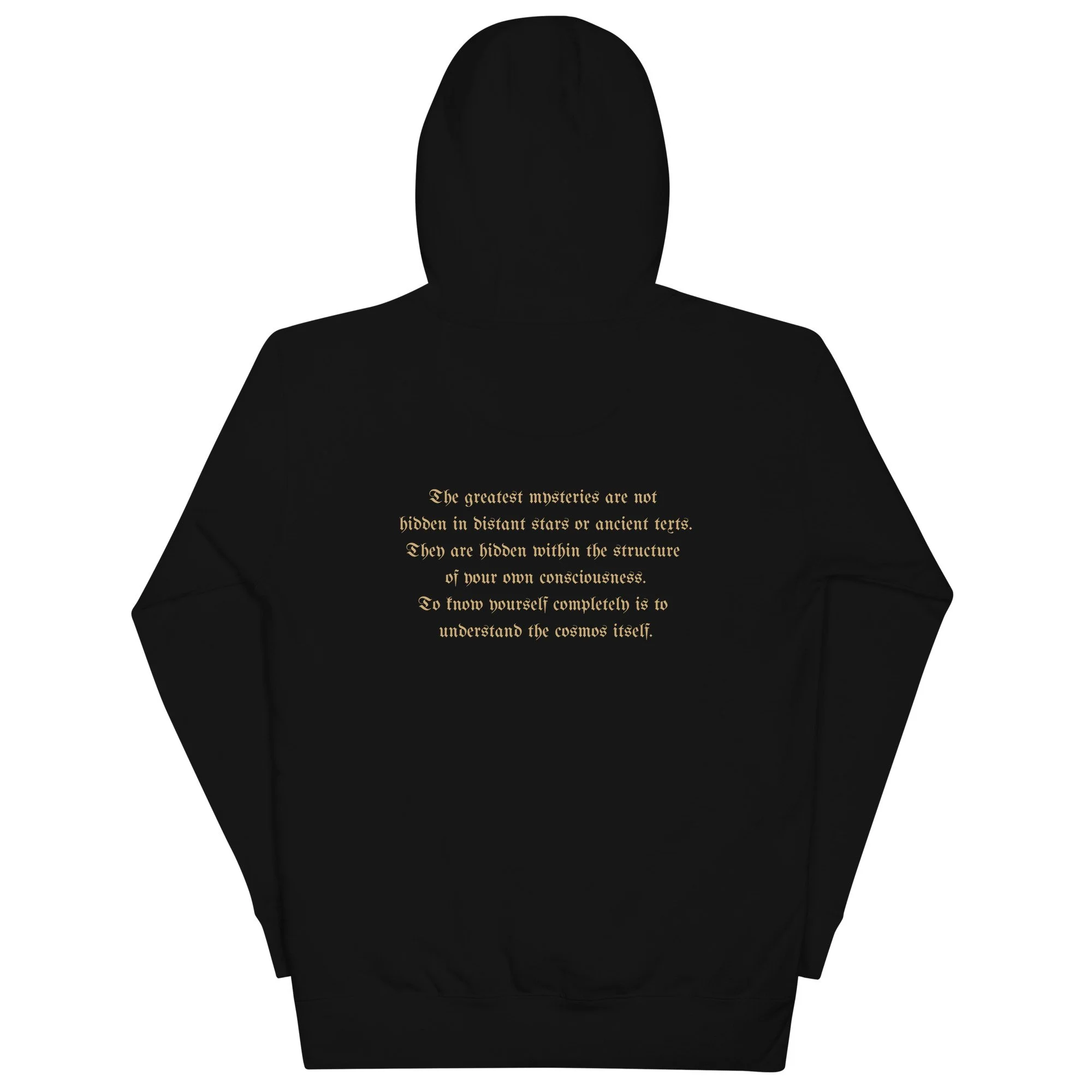 unisex-premium-pullover-hoodie-black-back-6a28833089b20.jpg