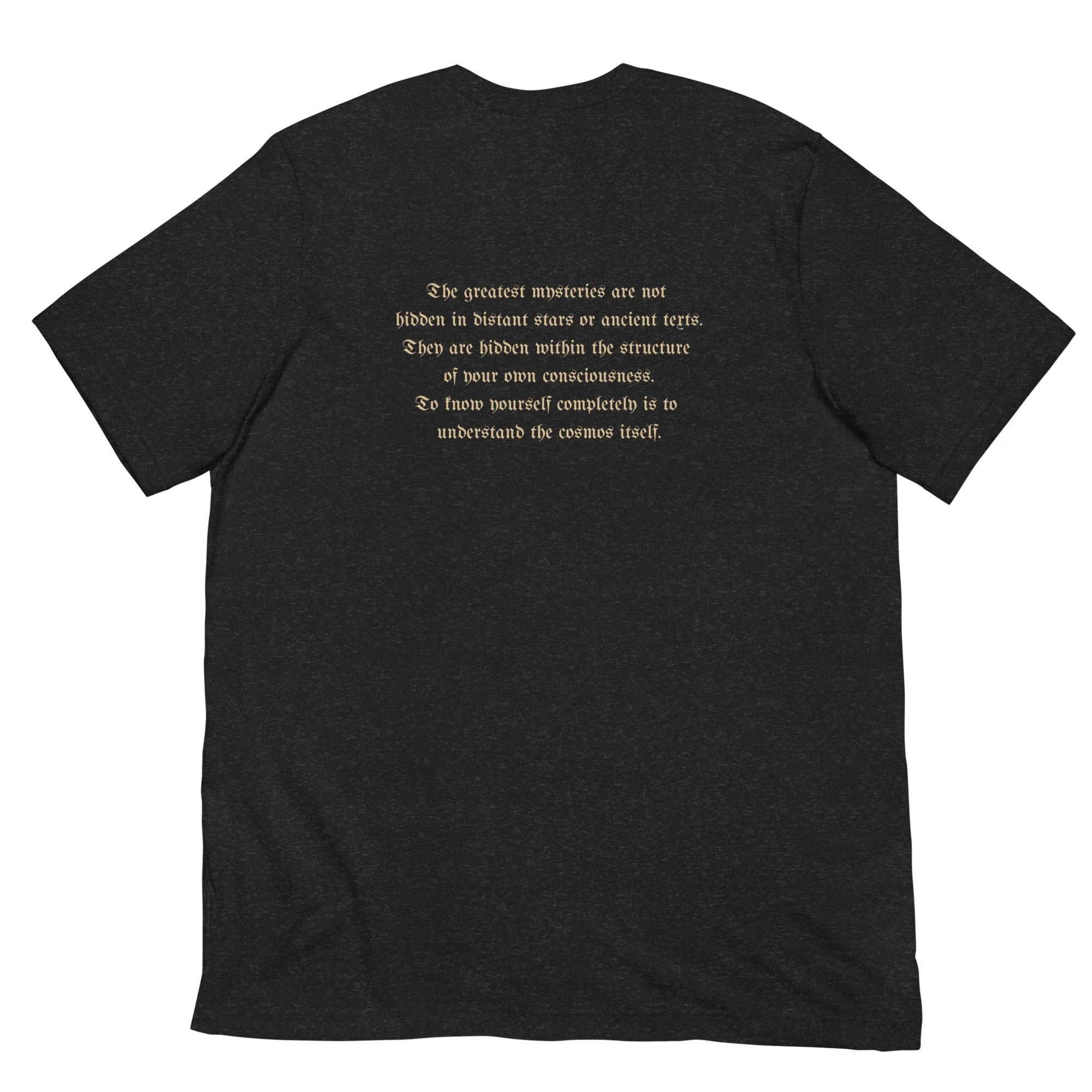 unisex-staple-t-shirt-black-heather-back-6a2889ce79f88.jpg