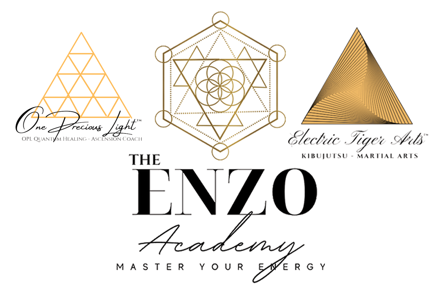 The Enzo Academy by One Precious Light