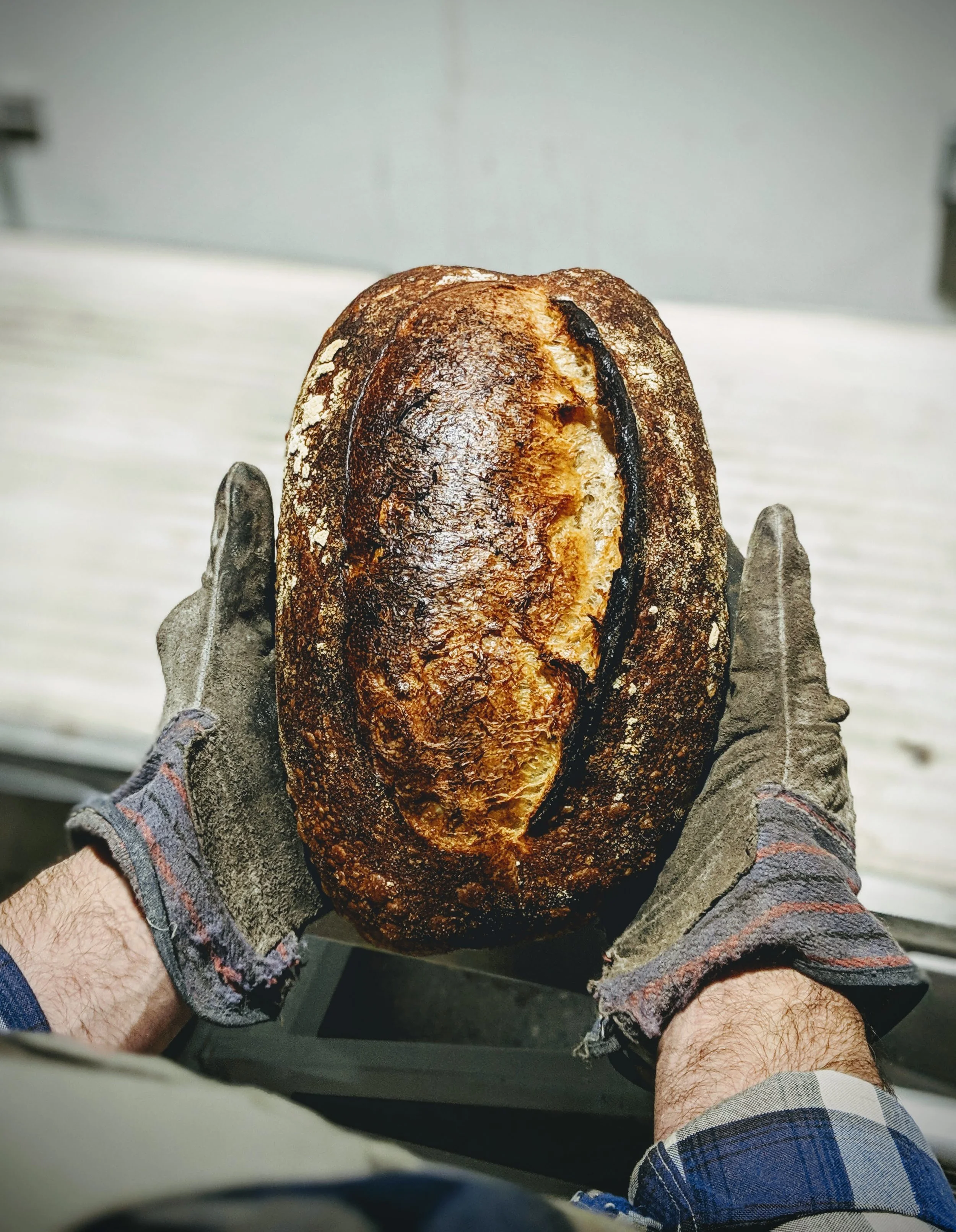 #15. hot bread in mitts.jpg