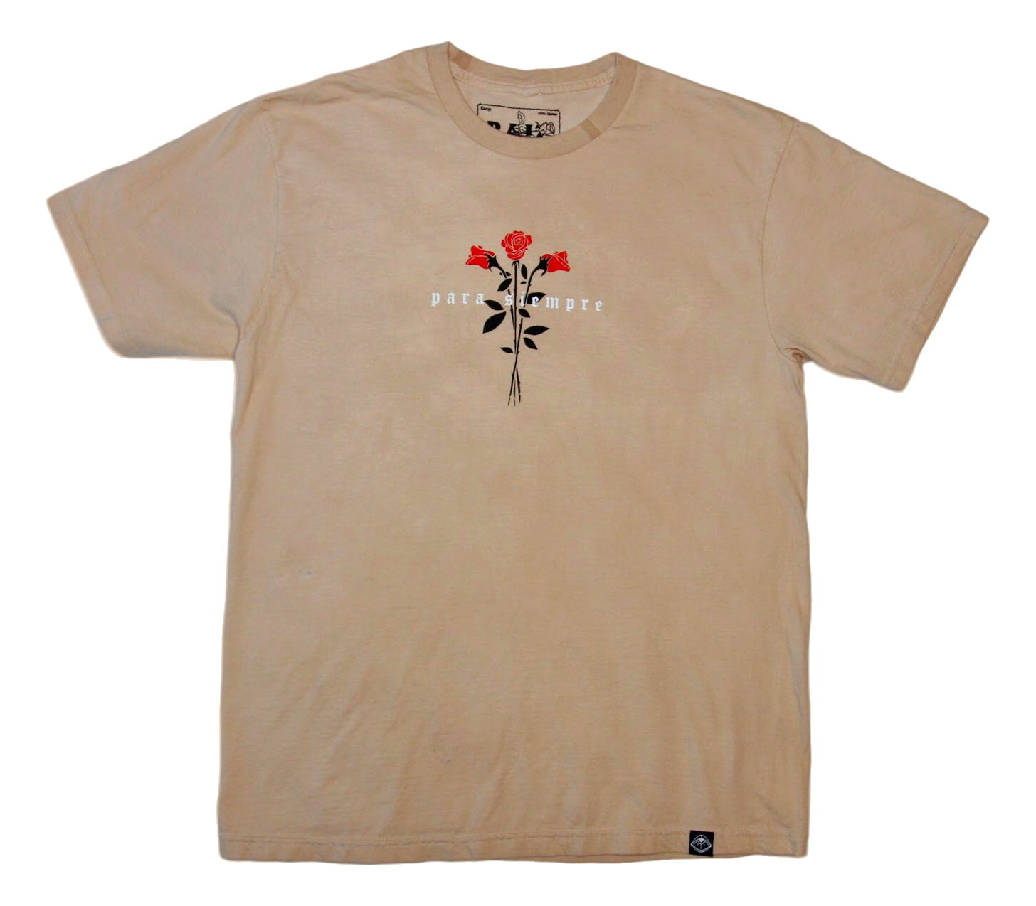 IMG_1144_clipped_rev_1.png