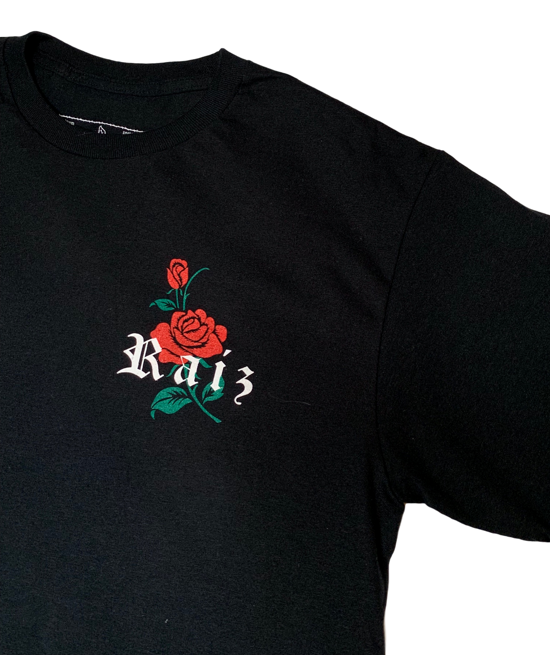 IMG_1162_clipped_rev_1.png