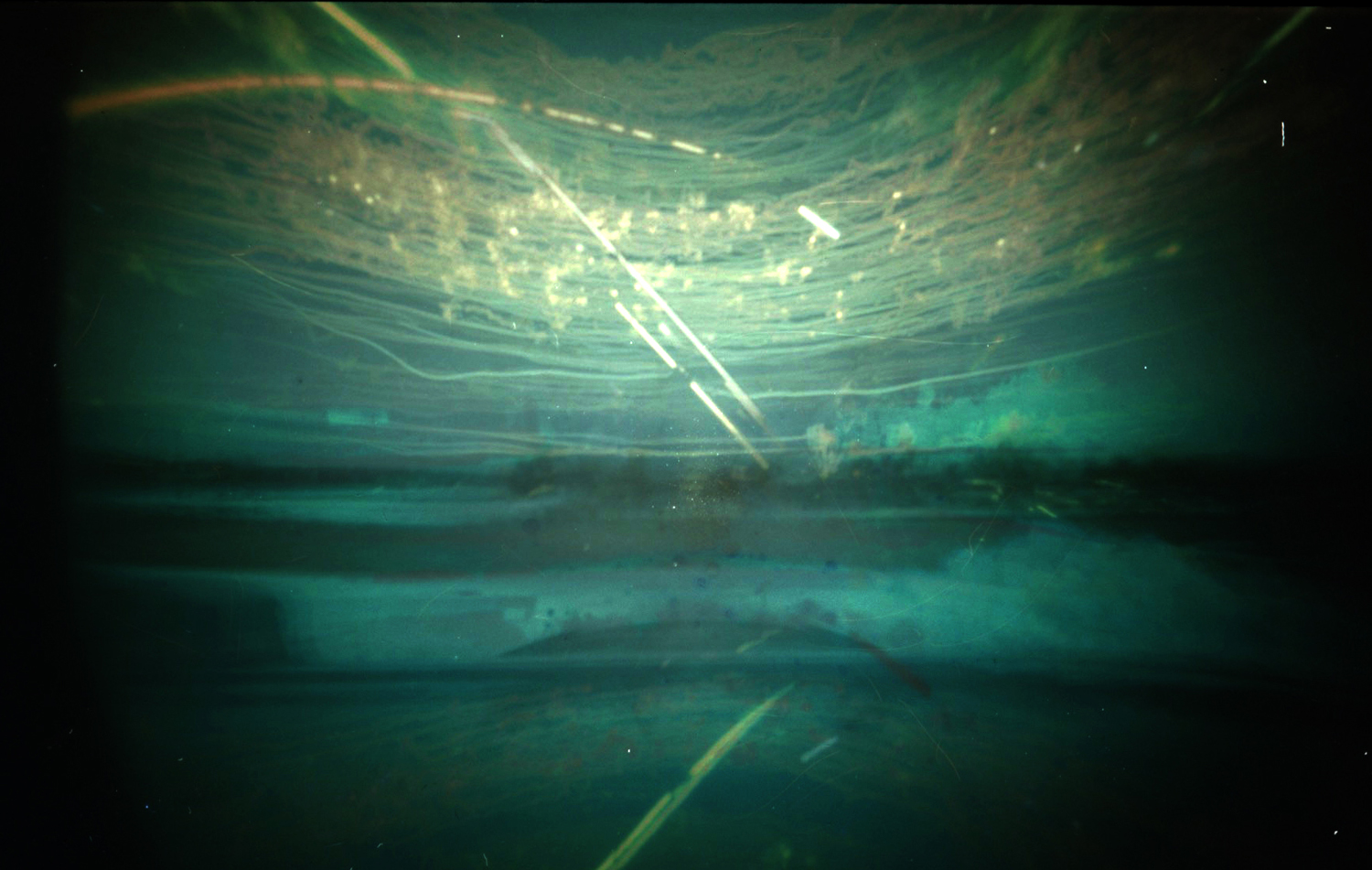 Solargraphy - Heather Palecek 18.jpg