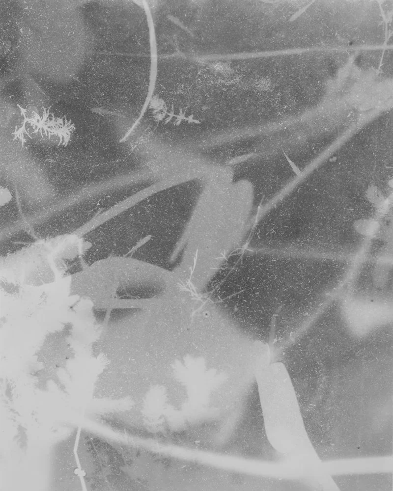 As Above So Below 00001.jpg
