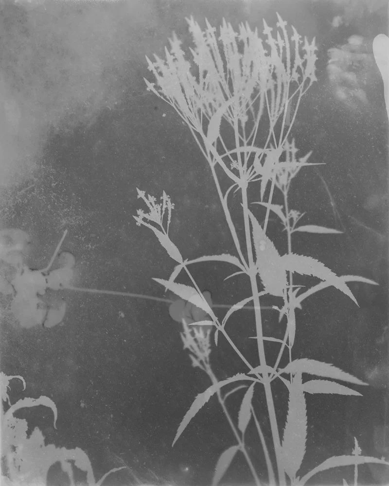 As Above So Below 00008.jpg