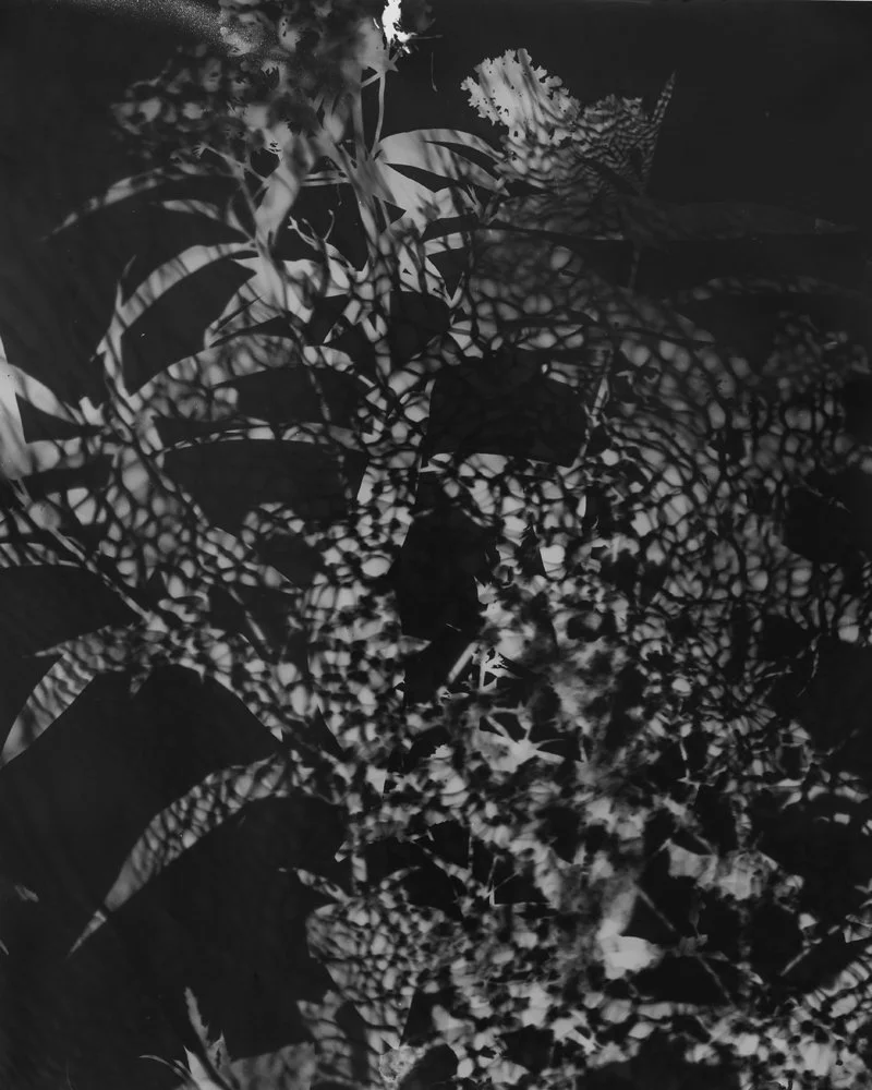 As Above So Below 00009.jpg