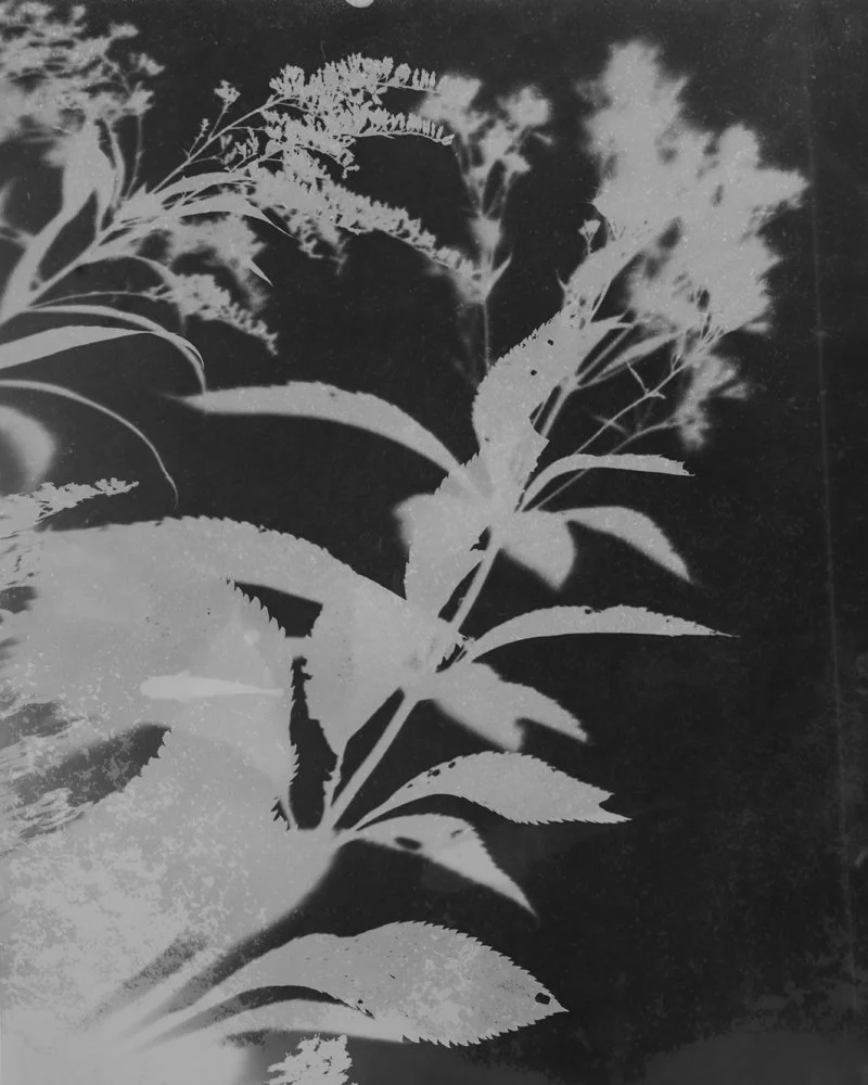 As Above So Below 00016.jpg