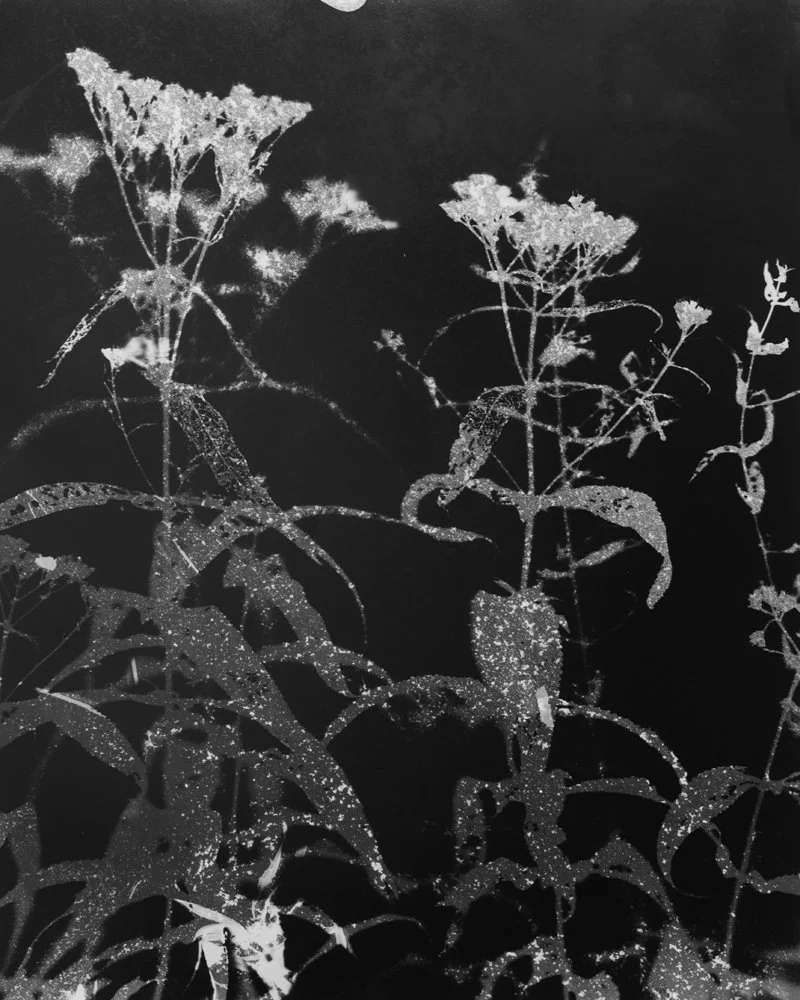 As Above So Below 00019.jpg
