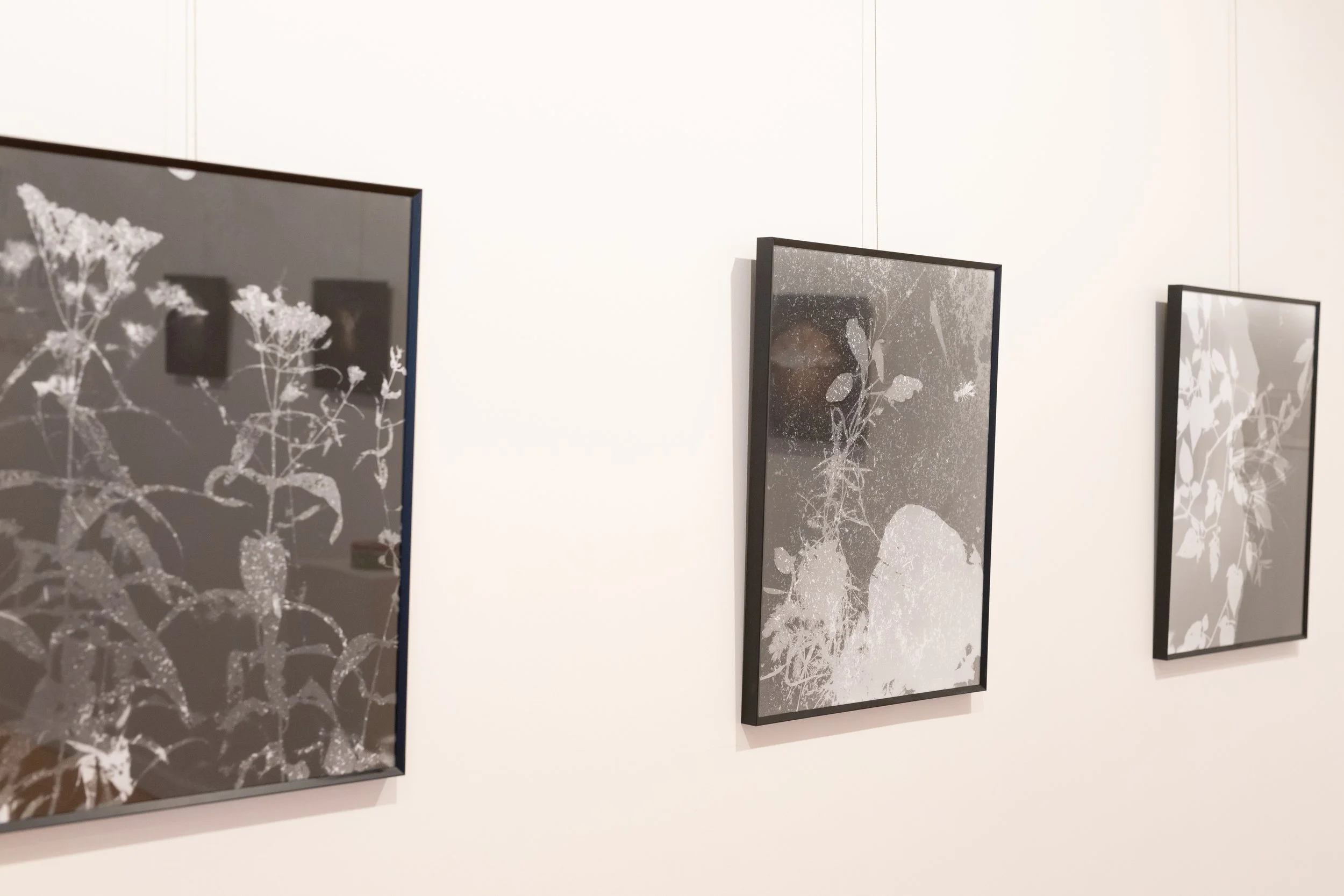 in stillness exhibition silva gallery of art-00032.jpg