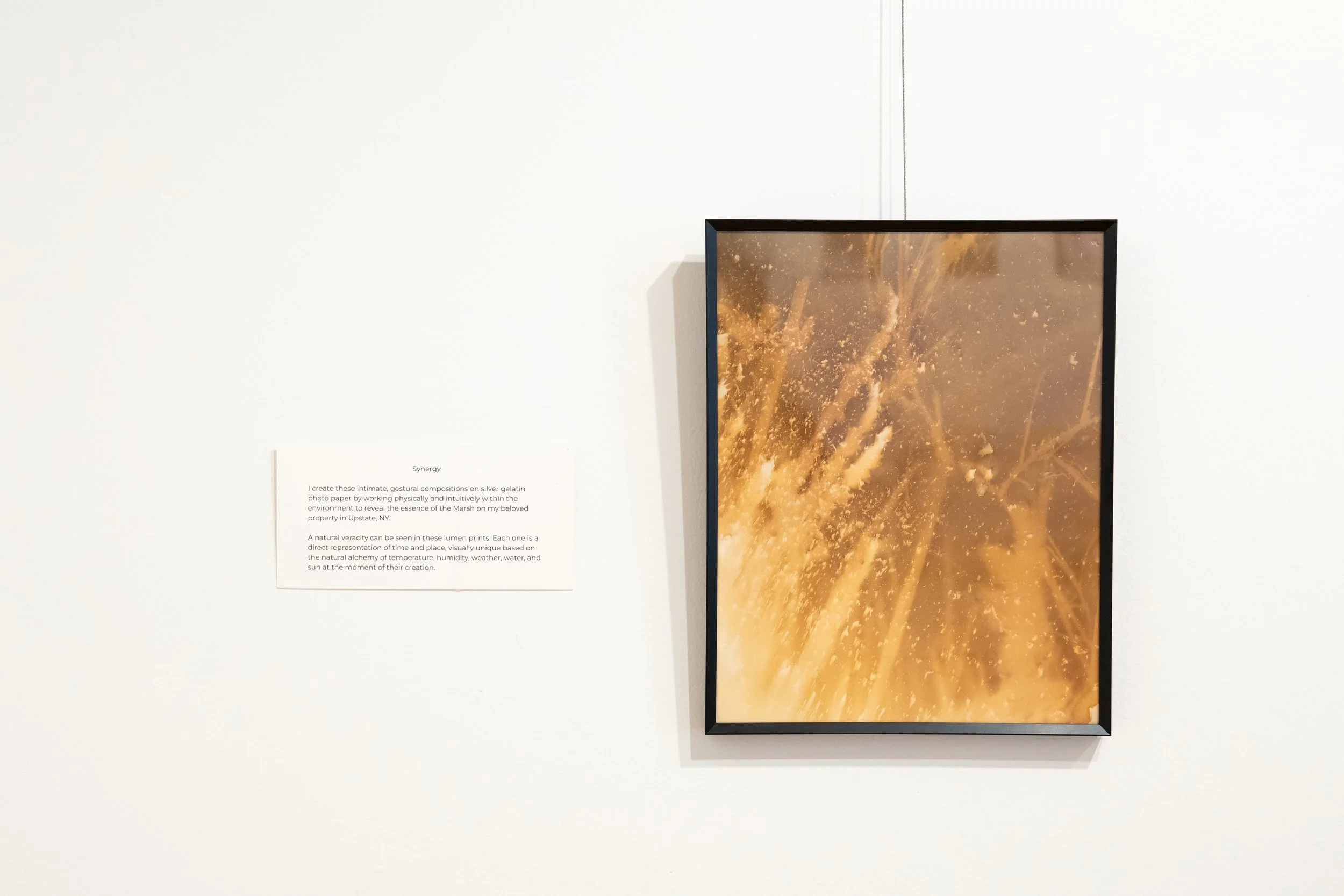 in stillness exhibition silva gallery of art-00038.jpg