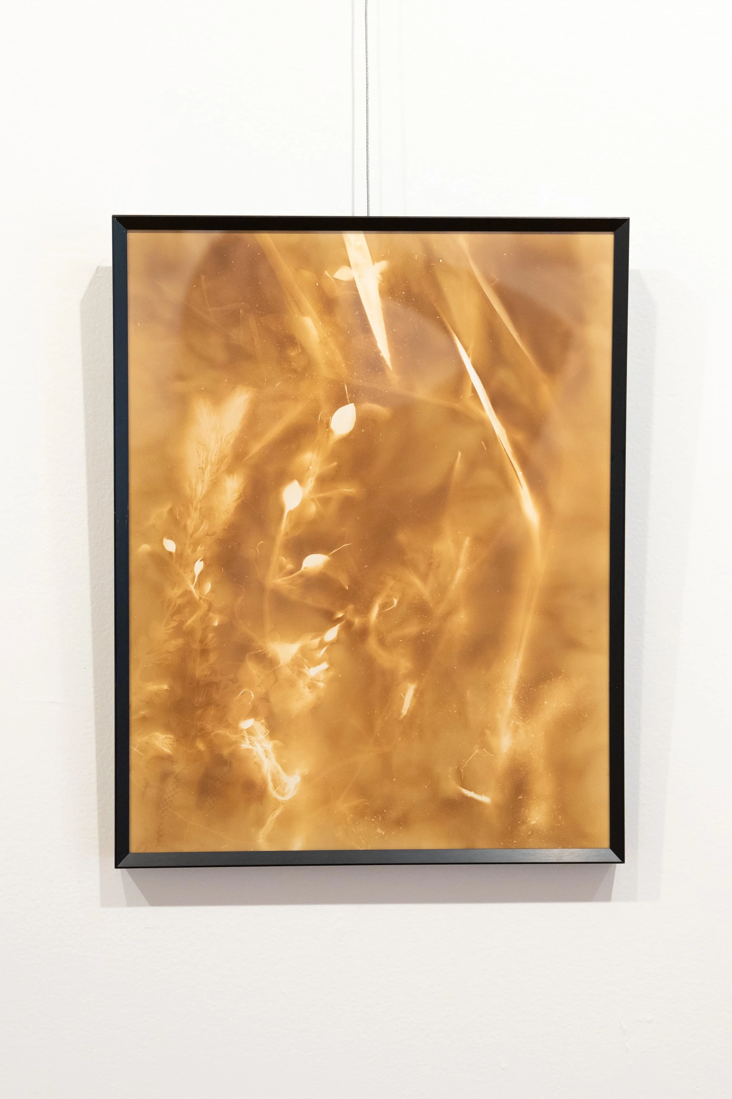 in stillness exhibition silva gallery of art-00039.jpg