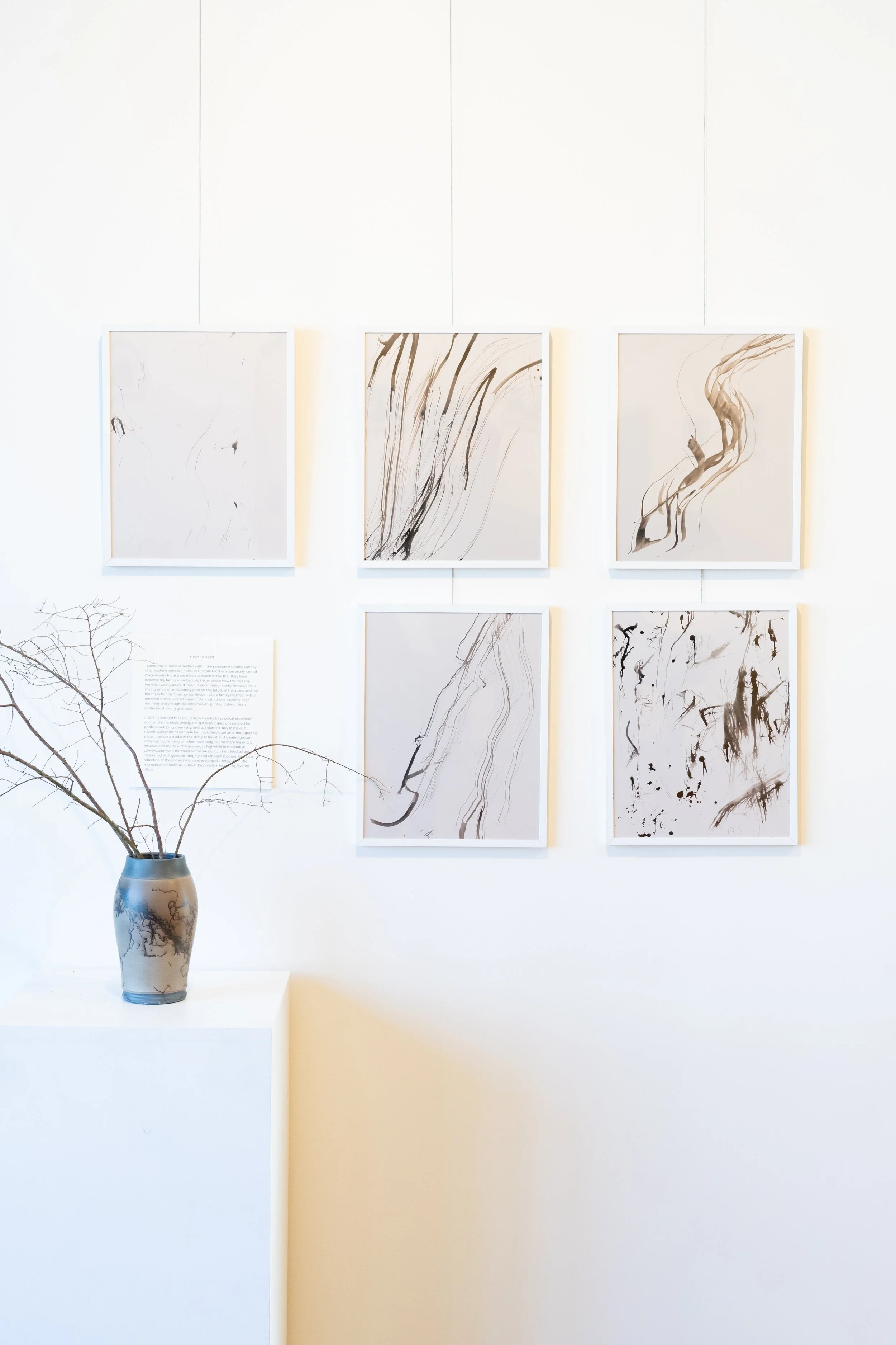 in stillness exhibition silva gallery of art-00043.jpg