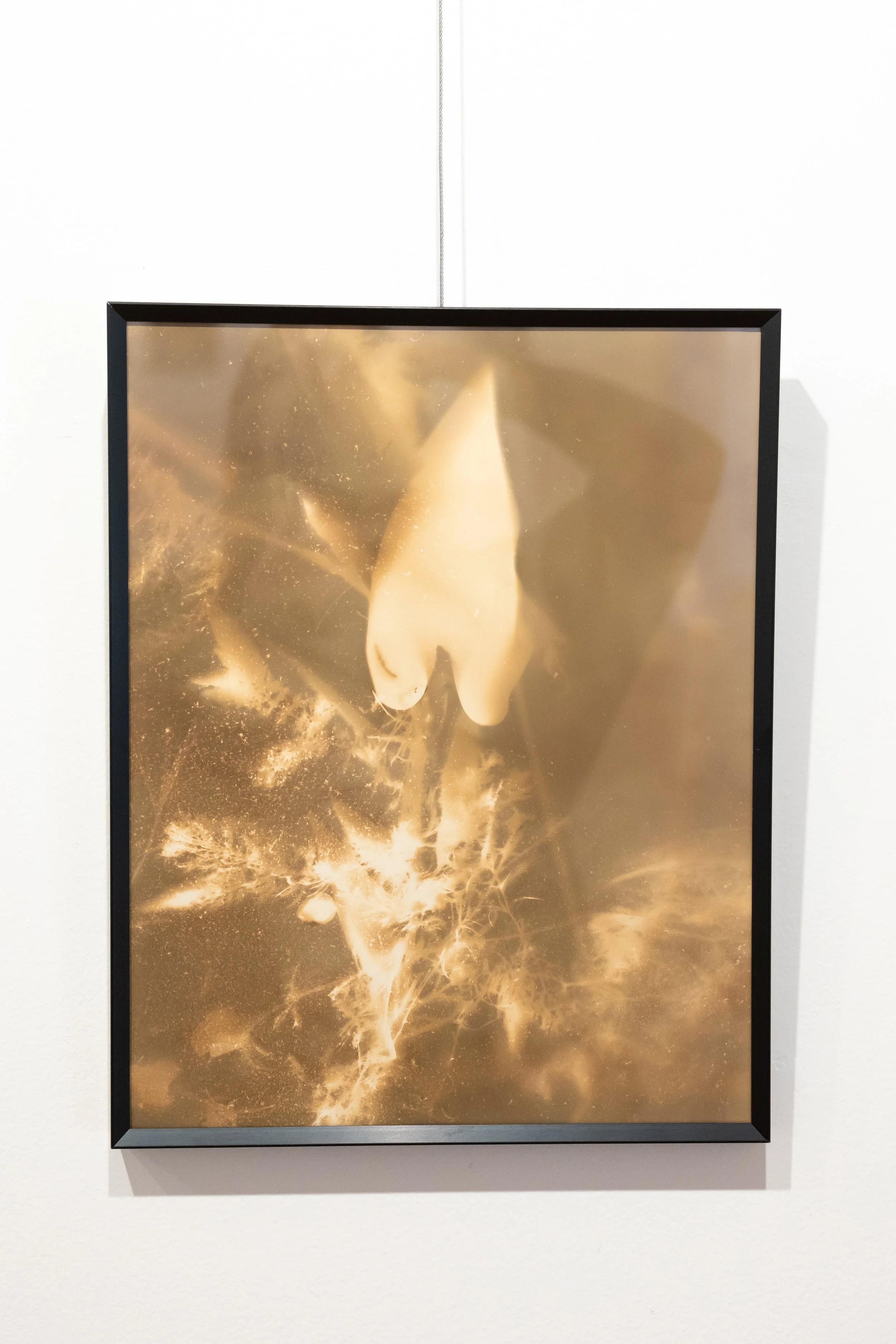 in stillness exhibition silva gallery of art-00040.jpg