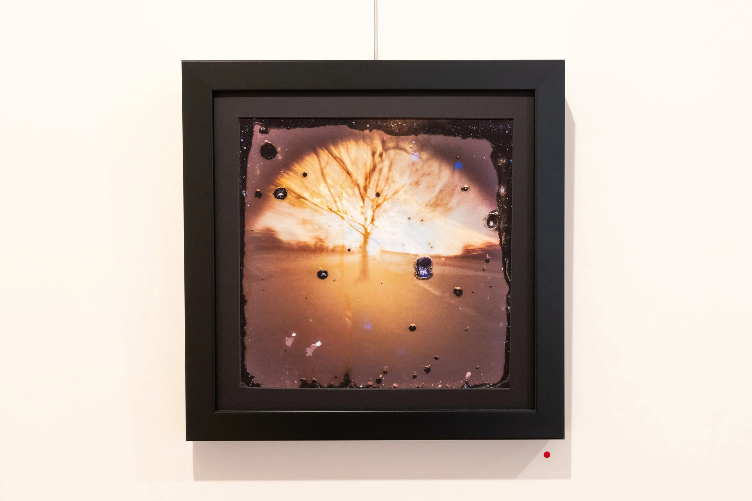 in stillness exhibition silva gallery of art-00045.jpg