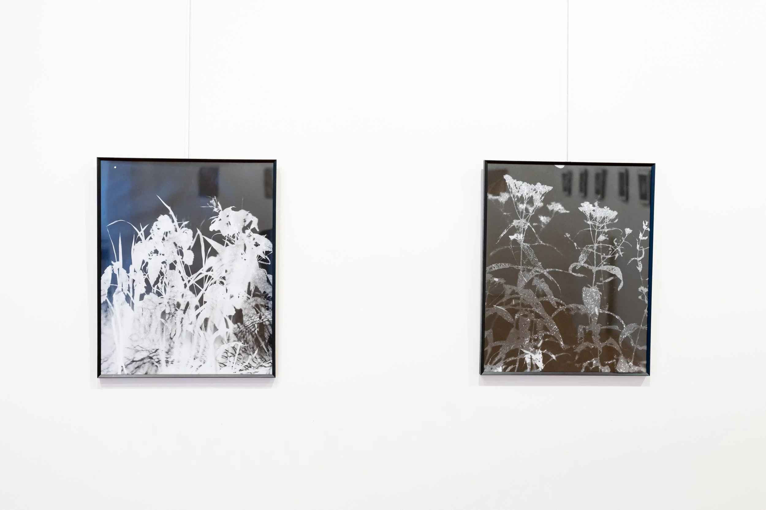 in stillness exhibition silva gallery of art-00049.jpg