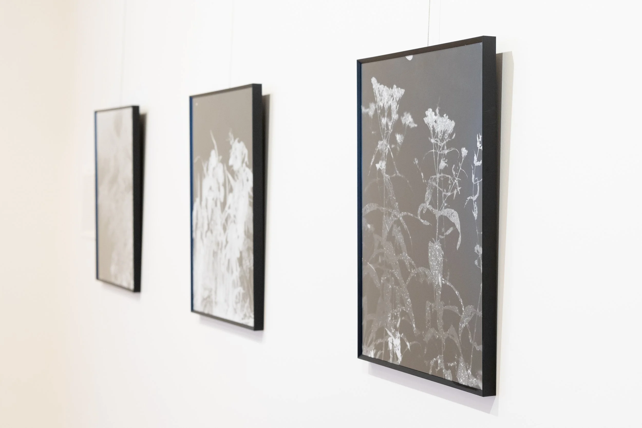 in stillness exhibition silva gallery of art-00052.jpg