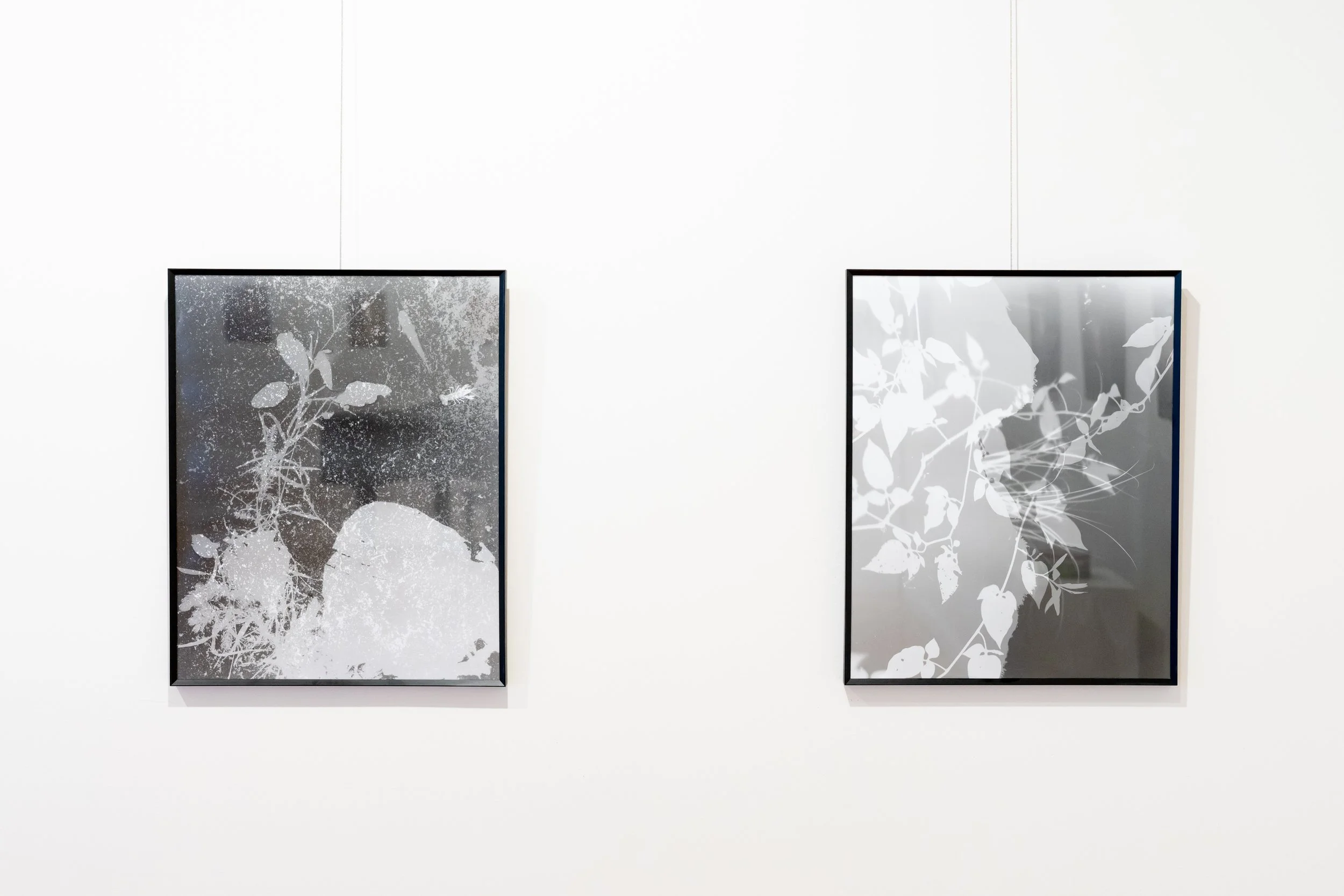 in stillness exhibition silva gallery of art-00050.jpg