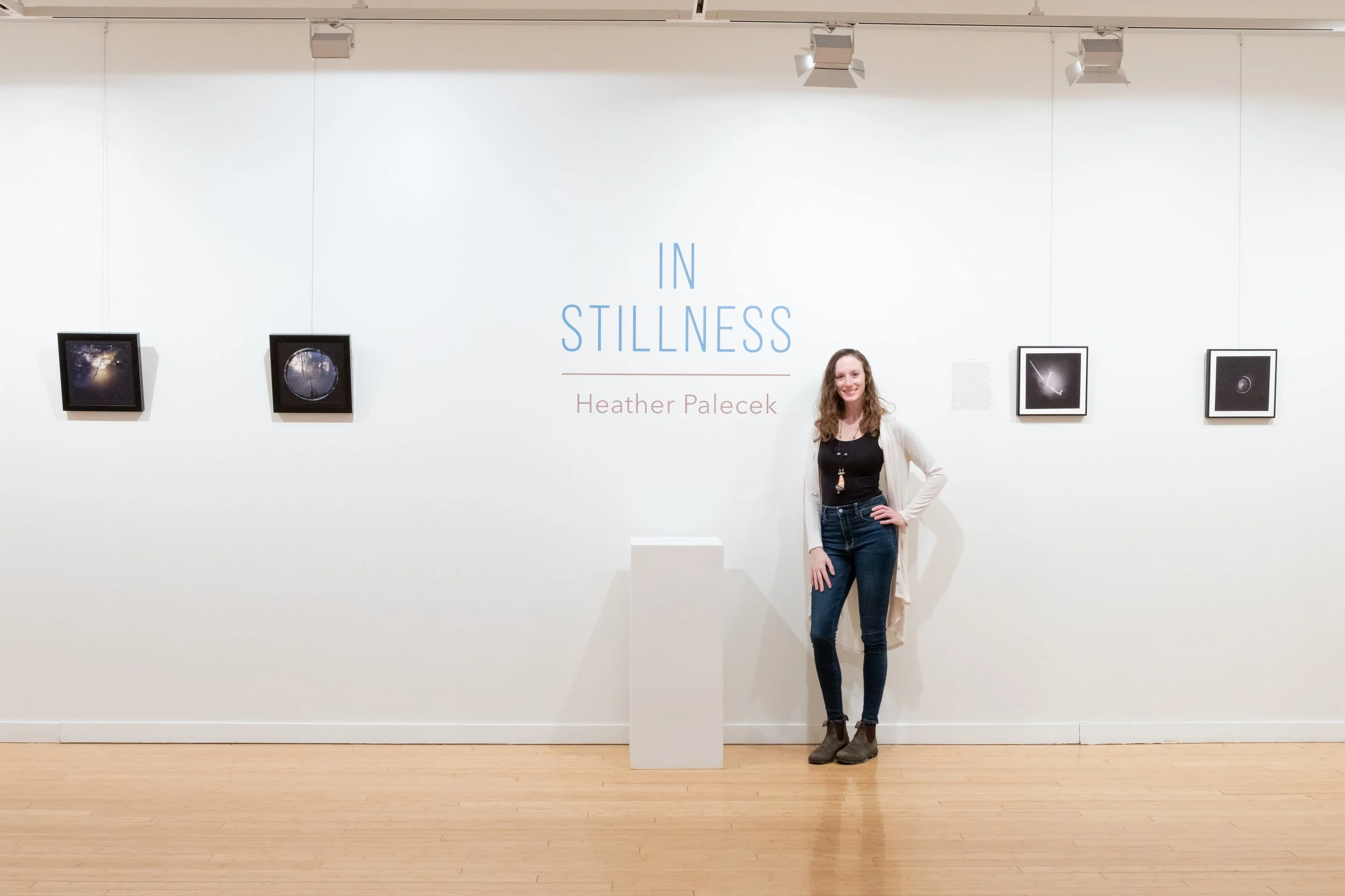in stillness exhibition silva gallery of art-24.jpg