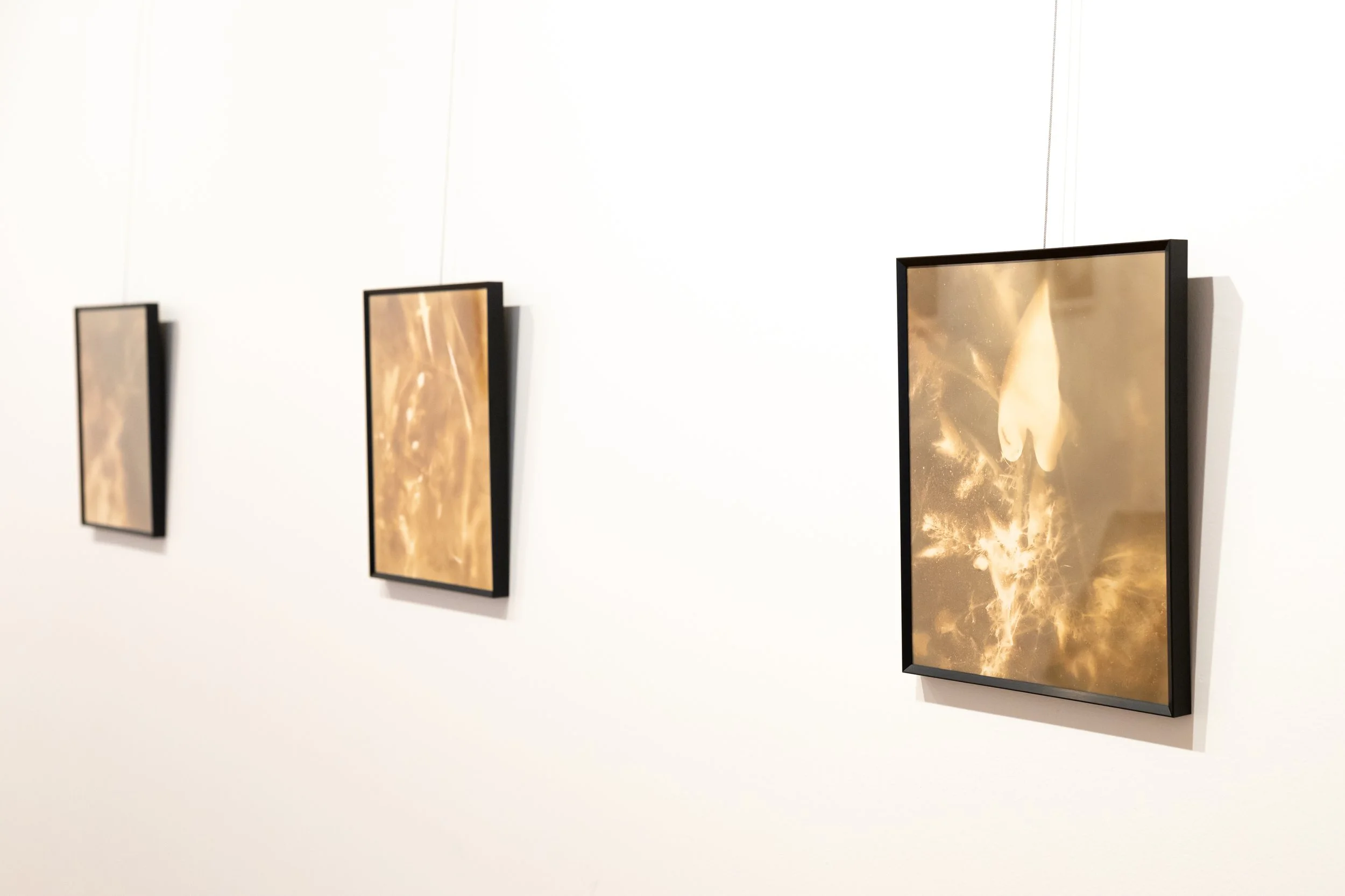 in stillness exhibition silva gallery of art-00041.jpg