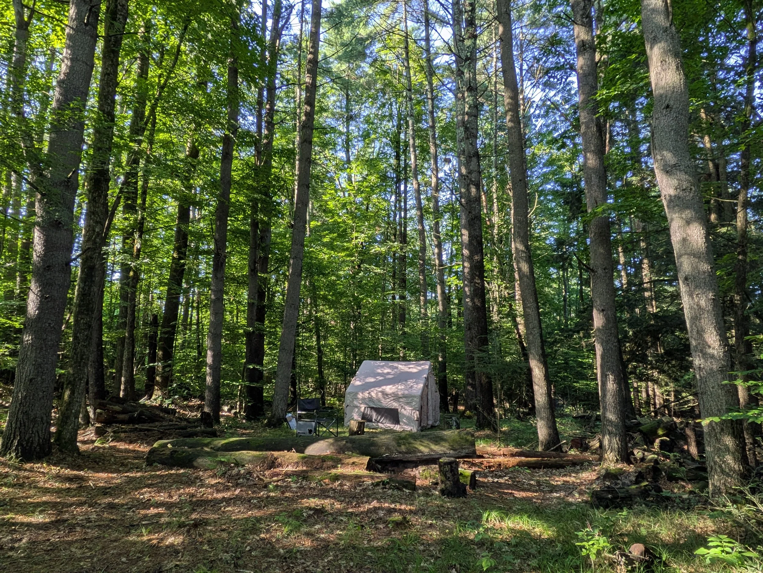 PXL_20260804_122555539.jpg