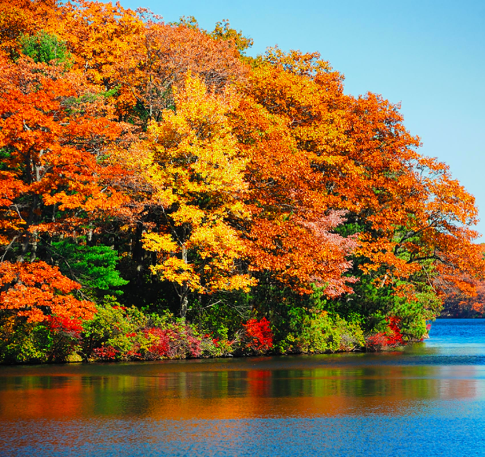 Calm Catskills