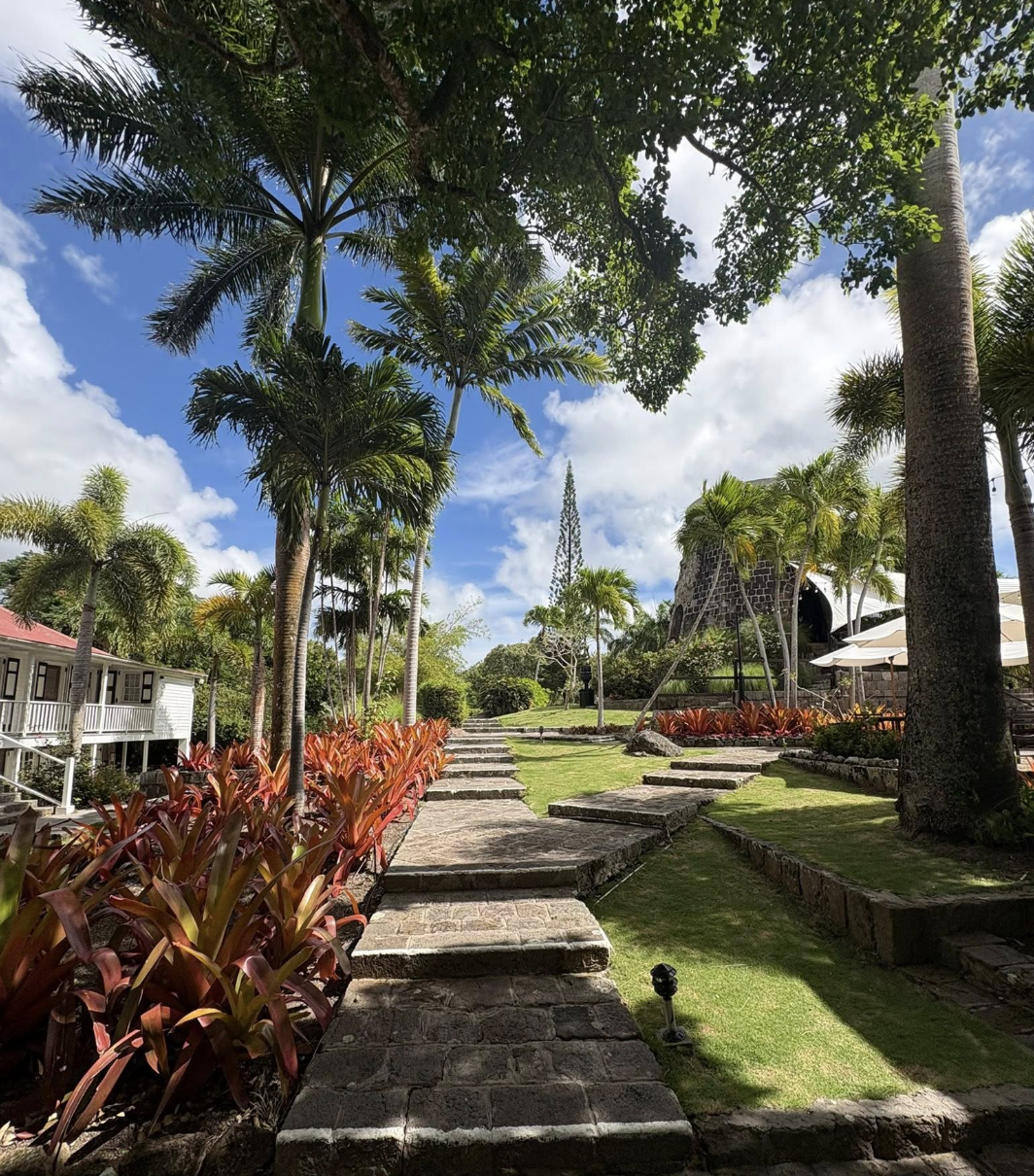 Screenshot 2025-11-28 at 11.55.44 AM.png