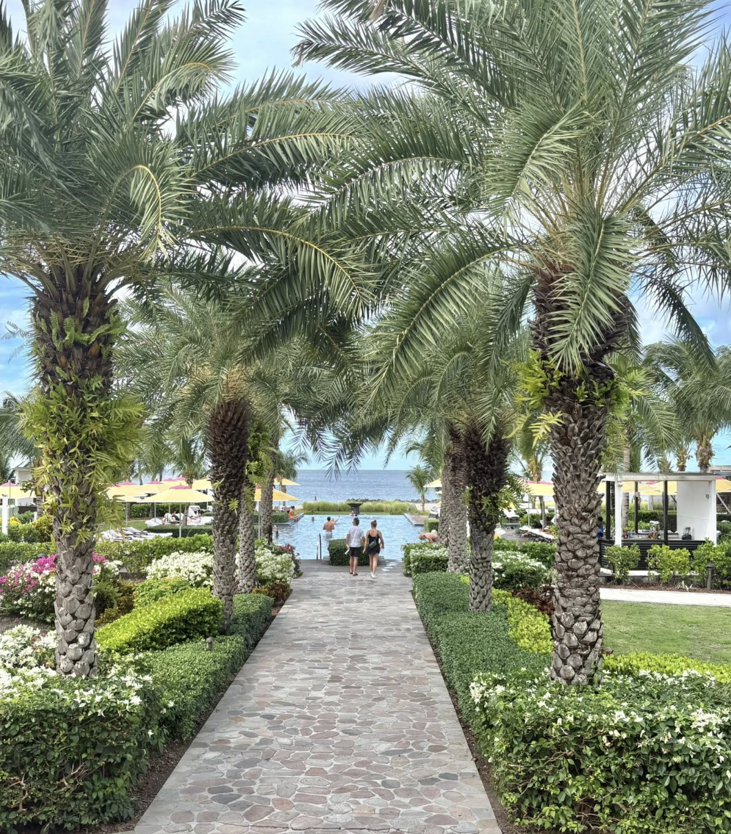 61. St Kitts &amp; Nevis