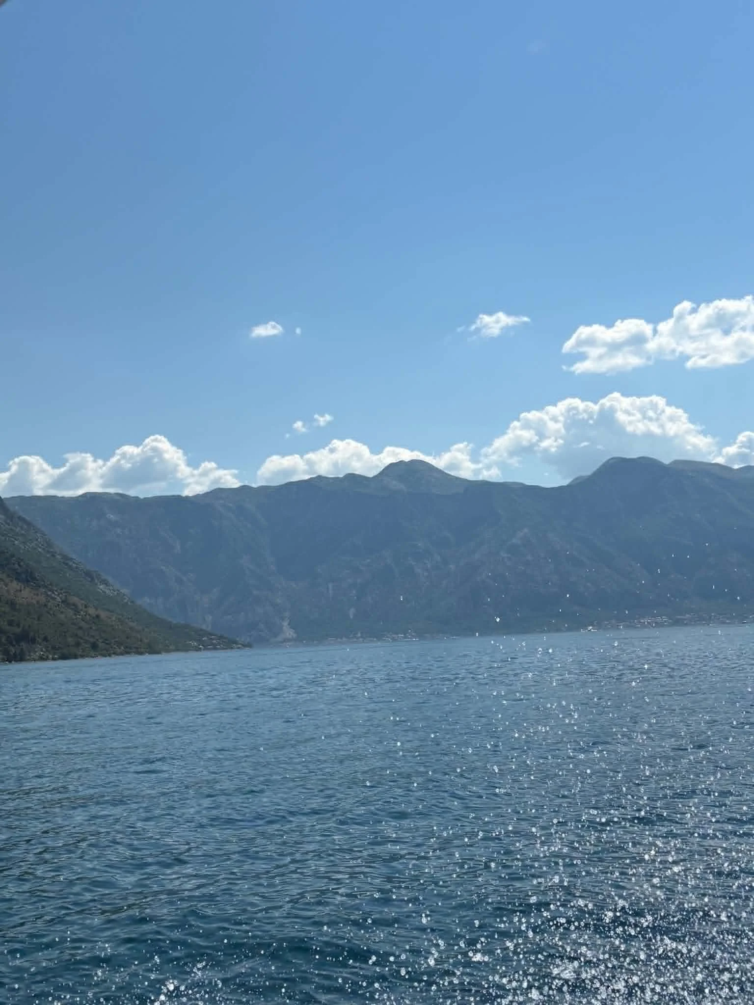6e48347b-3235-4d63-839e-a7337192265c.jpeg