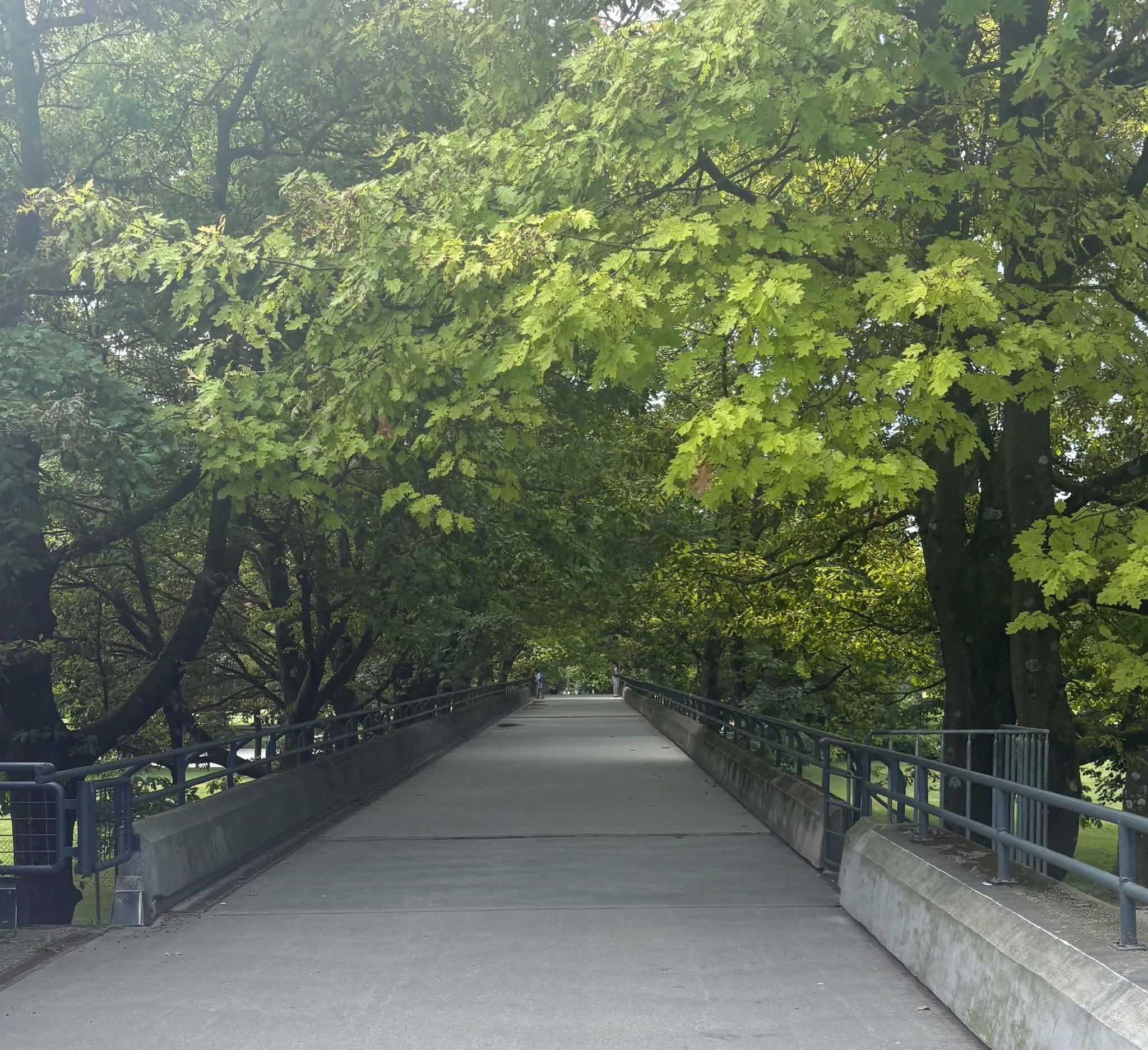 ed455d3a-034d-4044-9b6c-6d6ed50431b7.jpeg