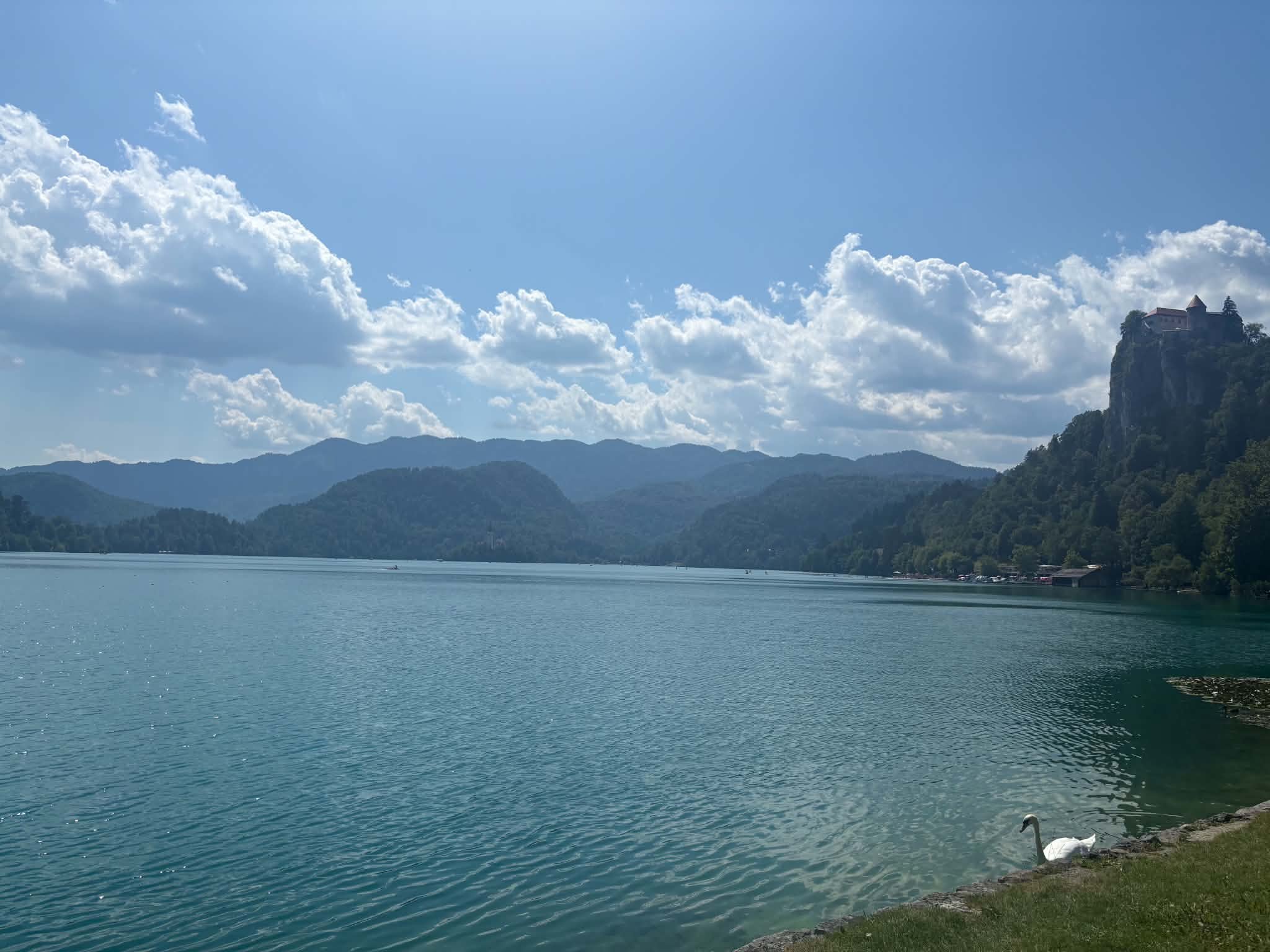 95c08779-4d00-45da-abf7-70d6baa4081d.jpeg