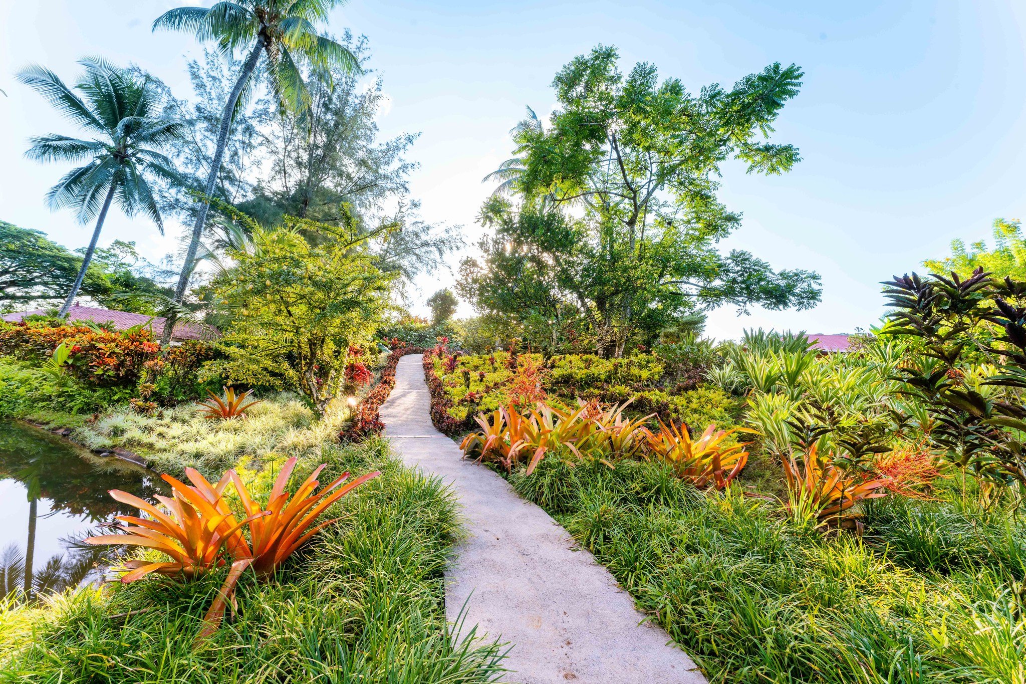 Tant de nuances en un jardin, c'est &ccedil;a Valombreuse ! 🌴📍

#jardeindevalombreuse #natureguadeloupe #fleur #visite #jardin #caraibes